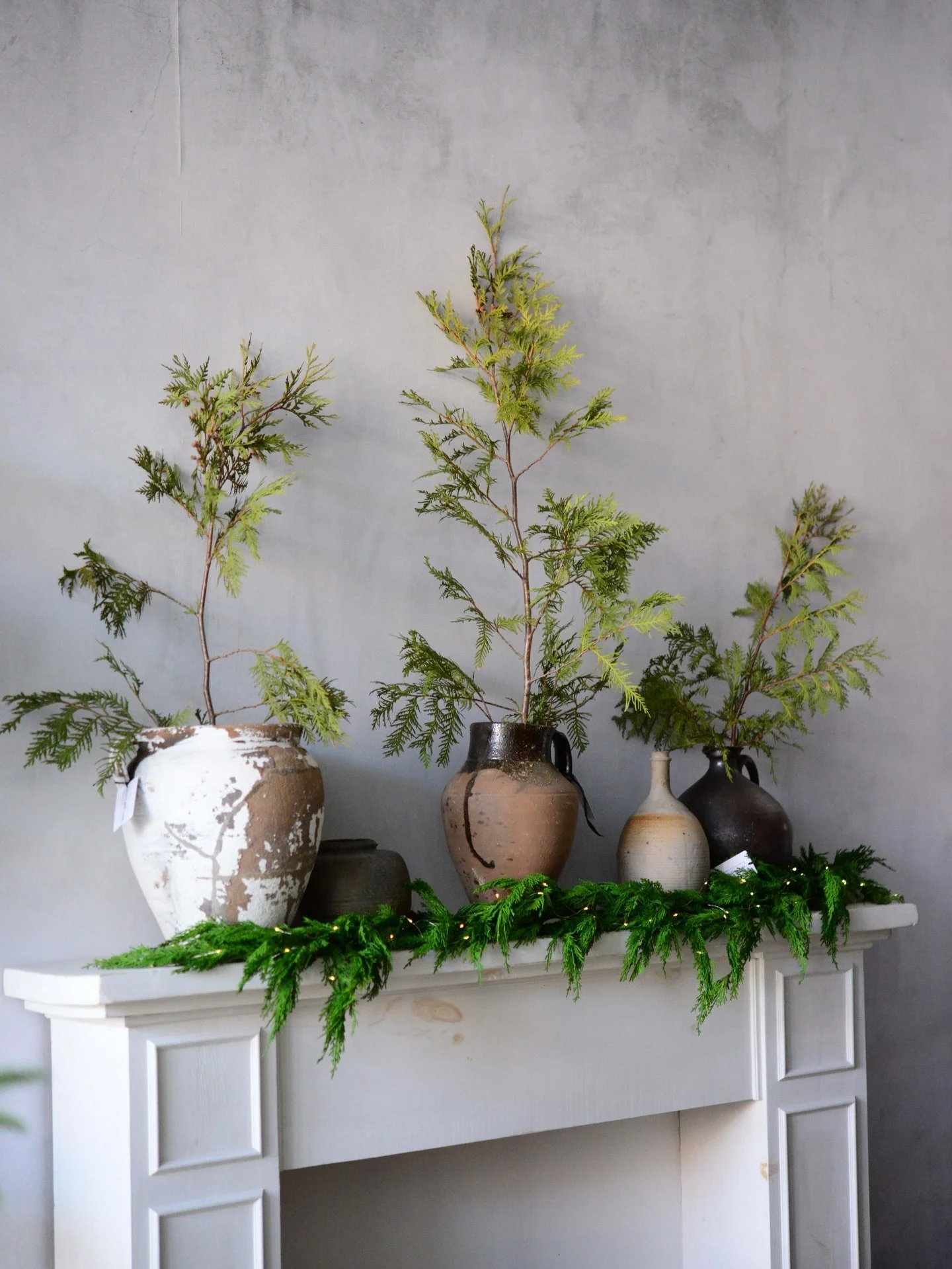 when they ask how many vintage pots is too many vintage pots. 

never too many. 

each with its own unique timeworn patina, character clad details beautifully impacting any interior, vintage pottery is collection worthy. 

can&rsquo;t wait to grow th