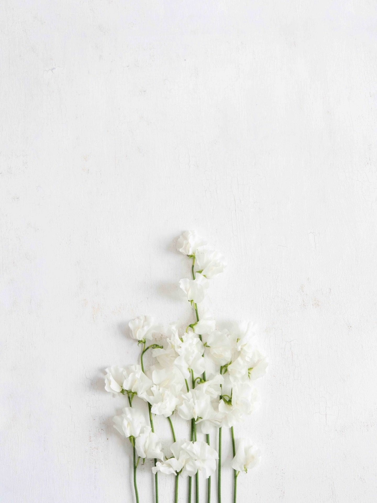 happy easter. 🤍

to all our wonderful community members. we&rsquo;re so grateful for you all. 

wishing you a day surrounded by loved ones + joy. 🤍

x. 
kasia + adrian