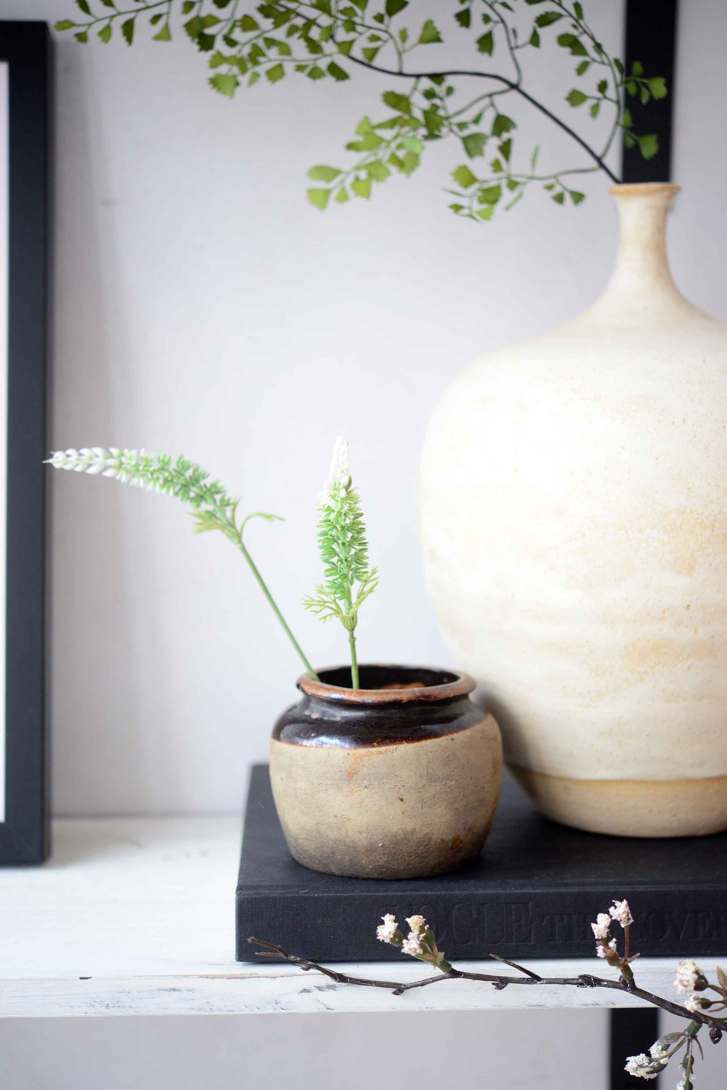 DSC_0341 copy for web.jpg