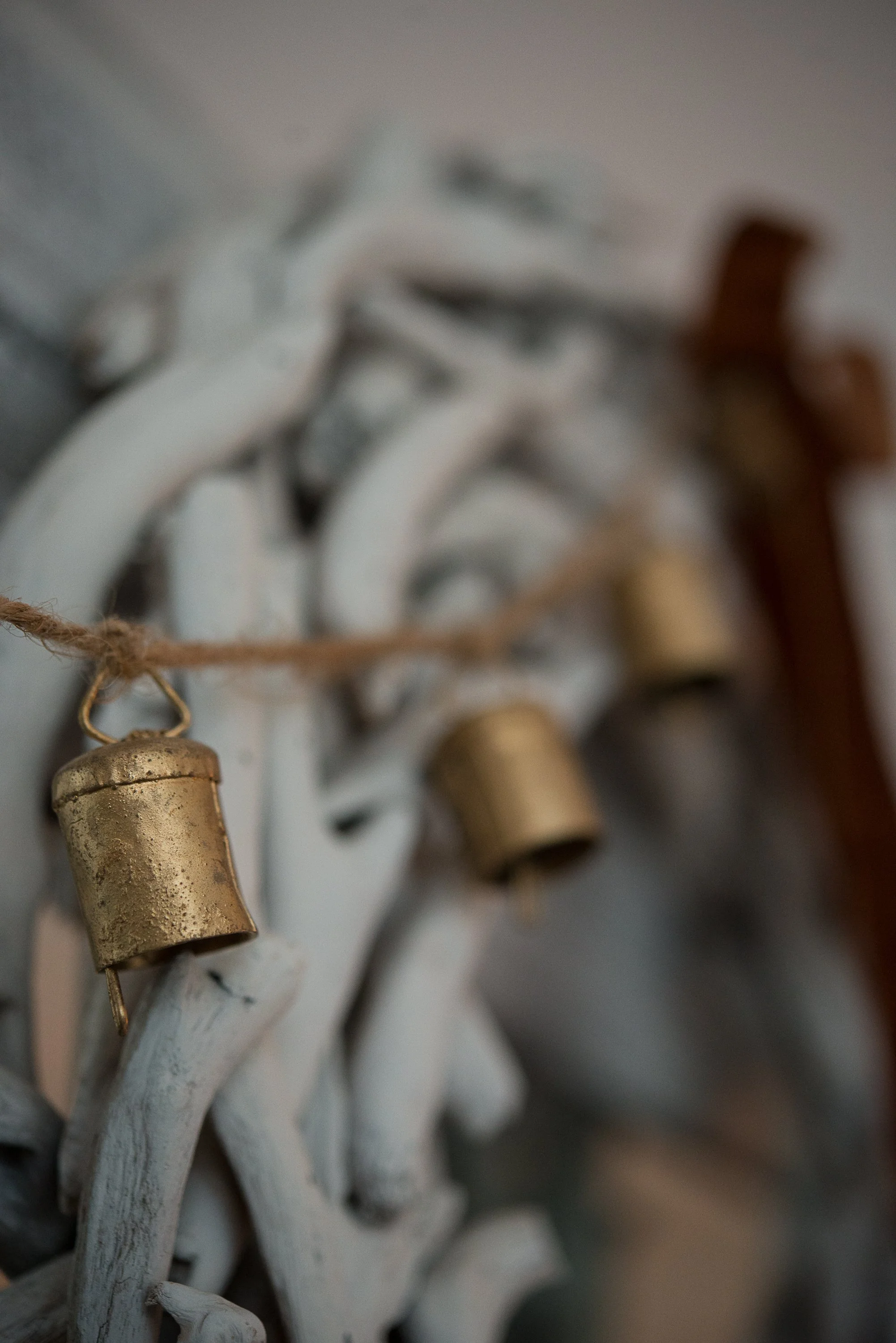 2025 Holiday Lifestyle-104.JPG