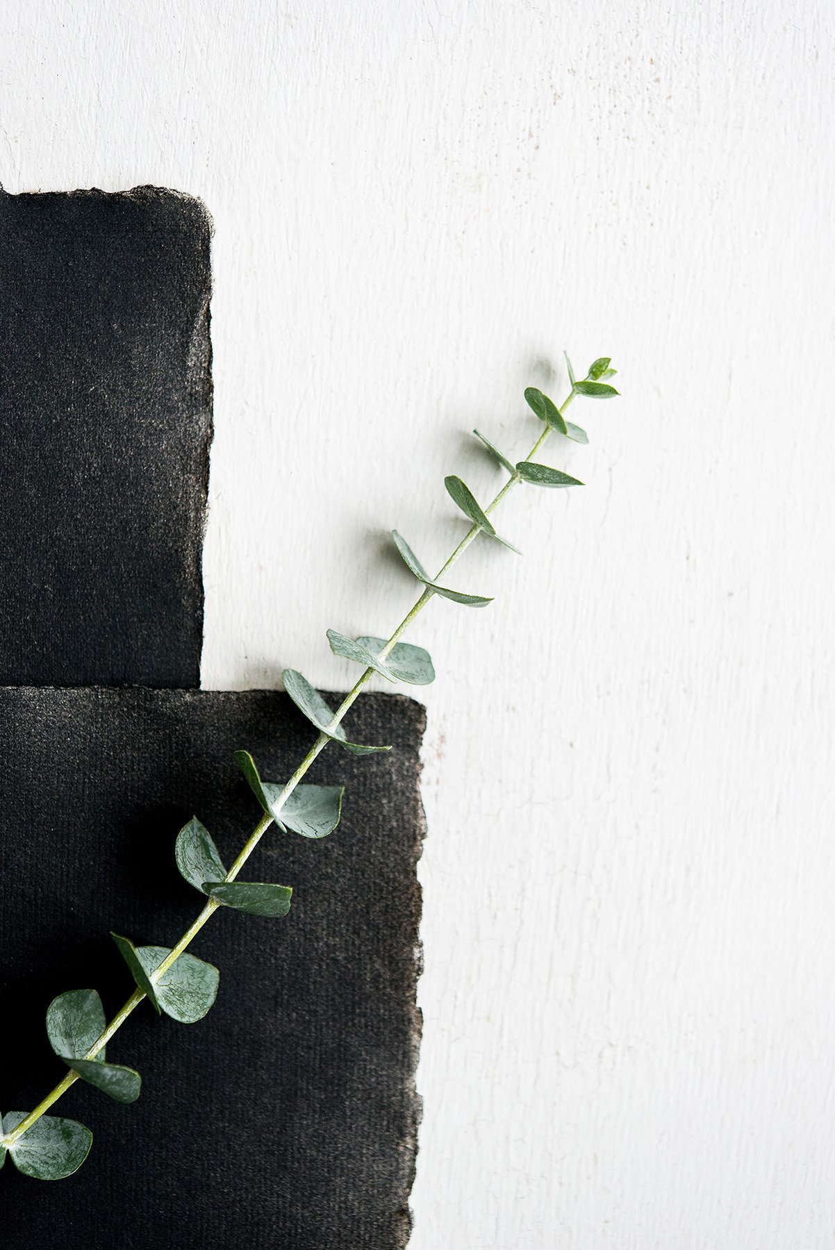 memento IV - 21x30.jpg