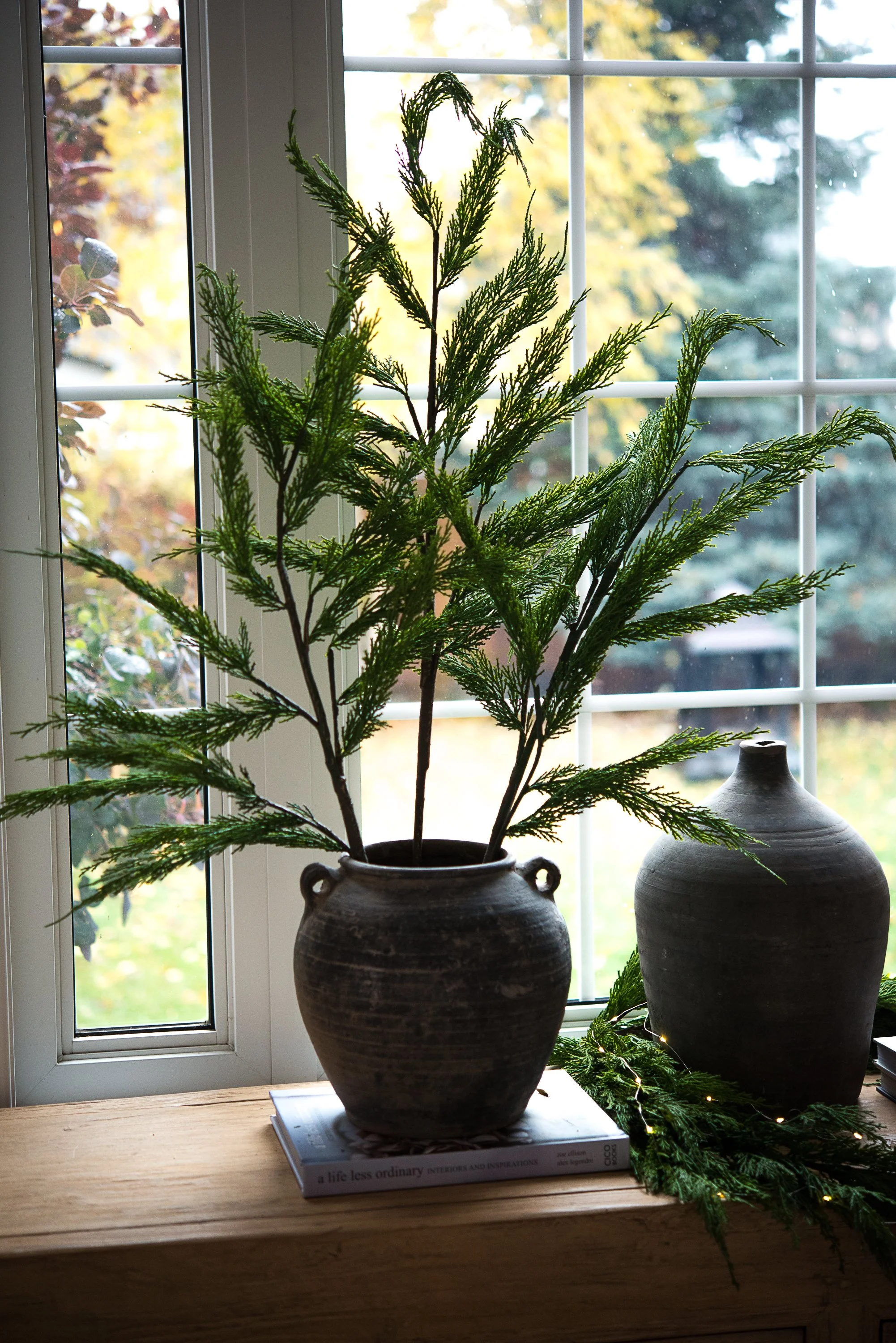 2025 Holiday Lifestyle-056.JPG