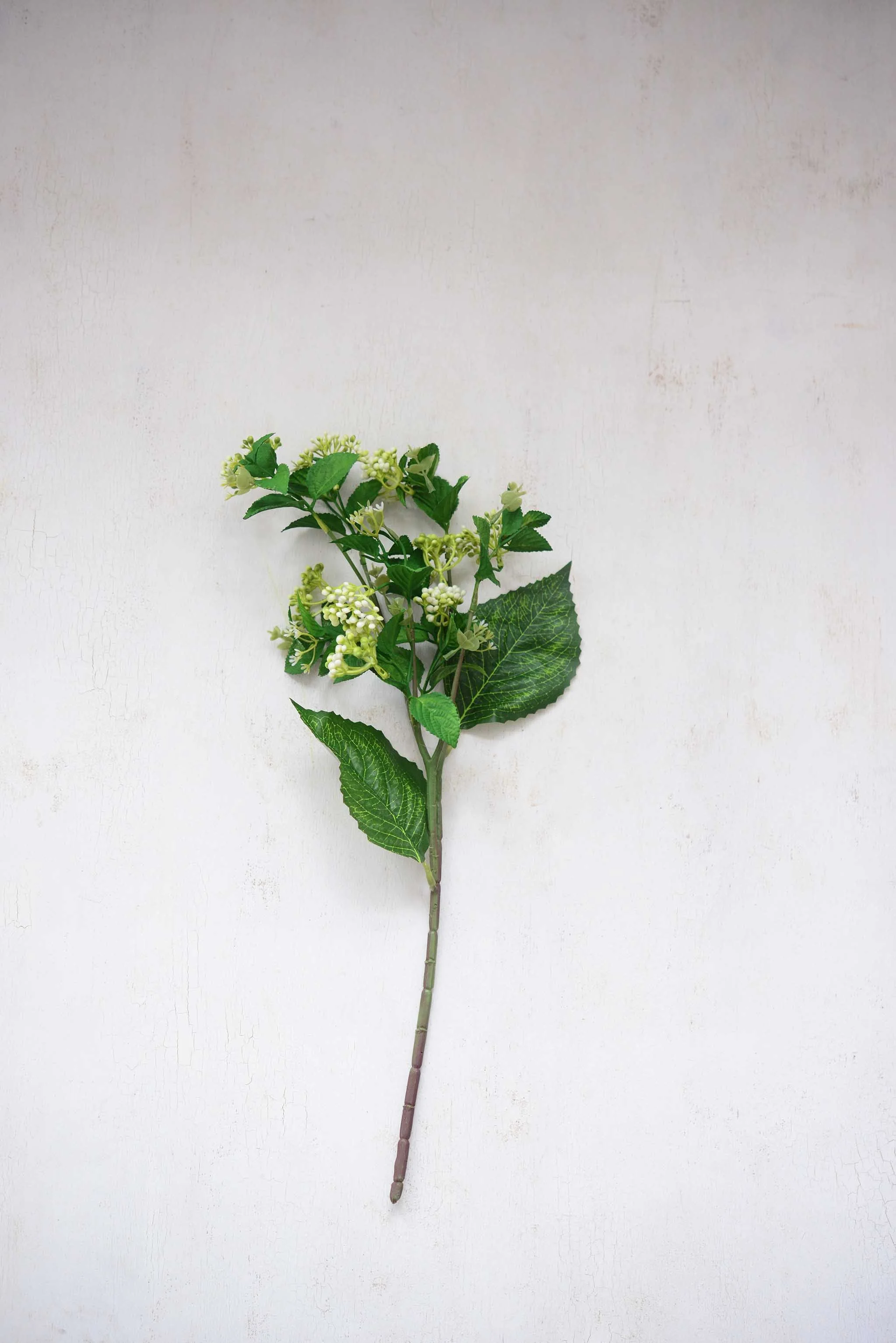 DSC_0390 copy for web.jpg