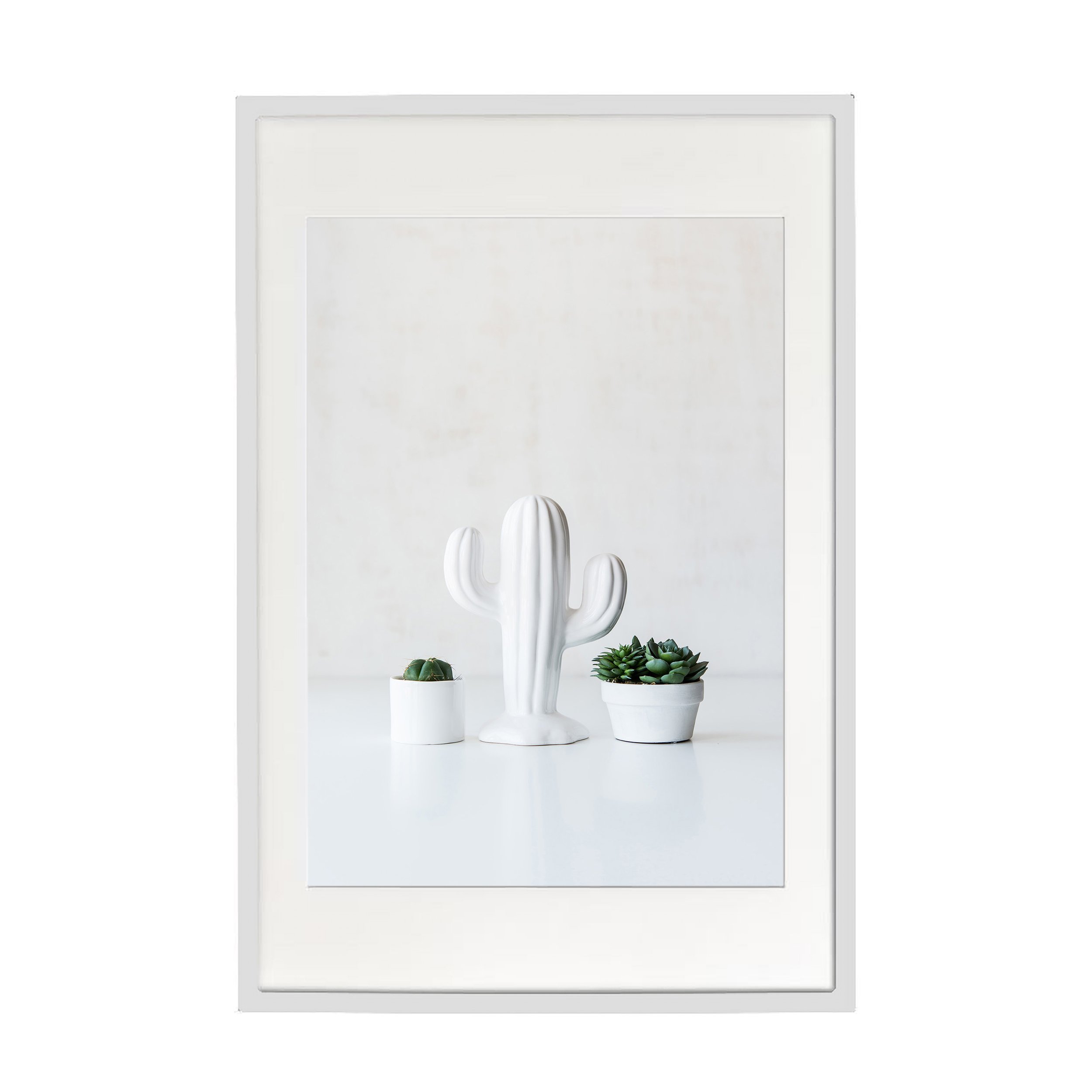 cacti II-w.jpg