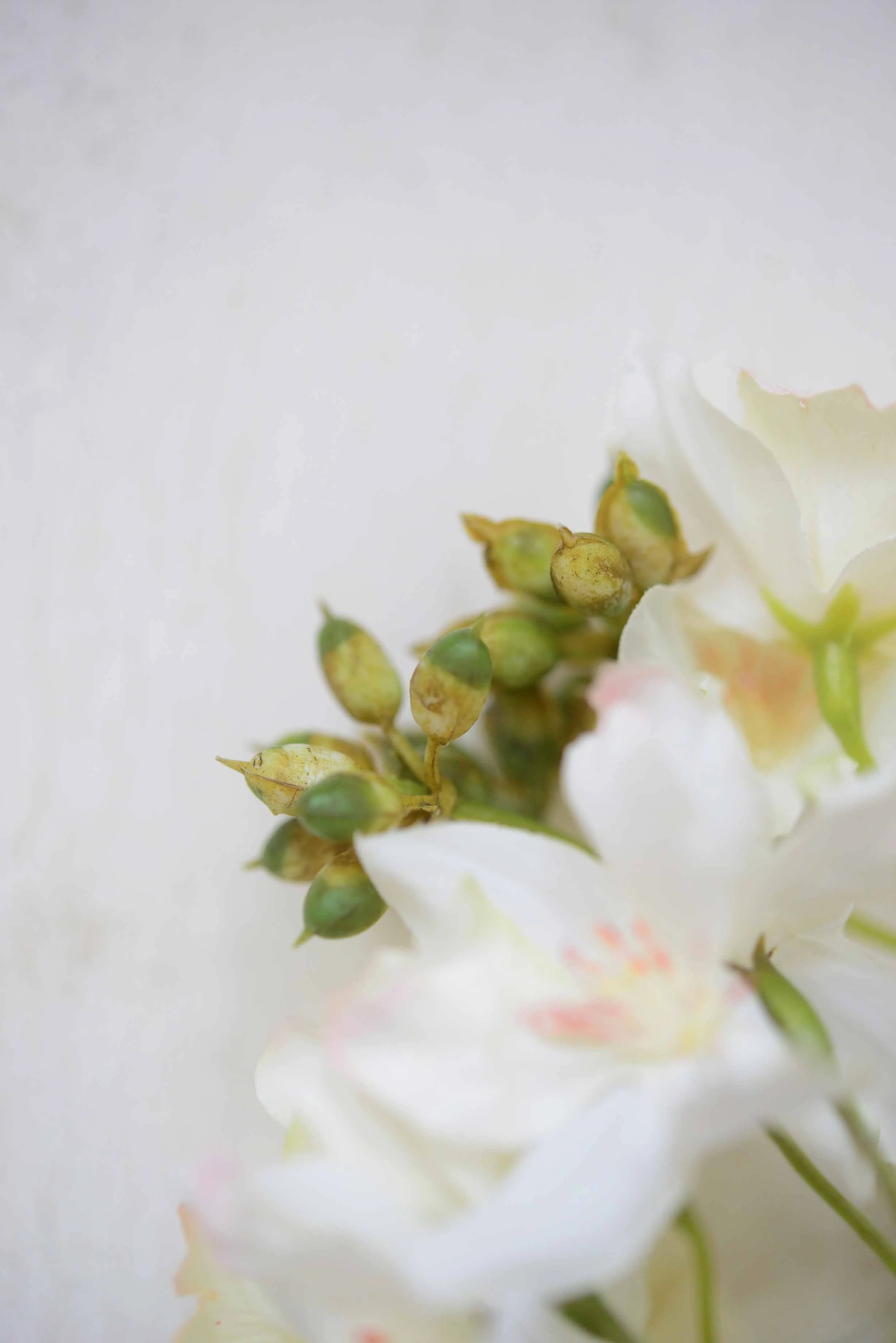 DSC_0381 copy for web.jpg