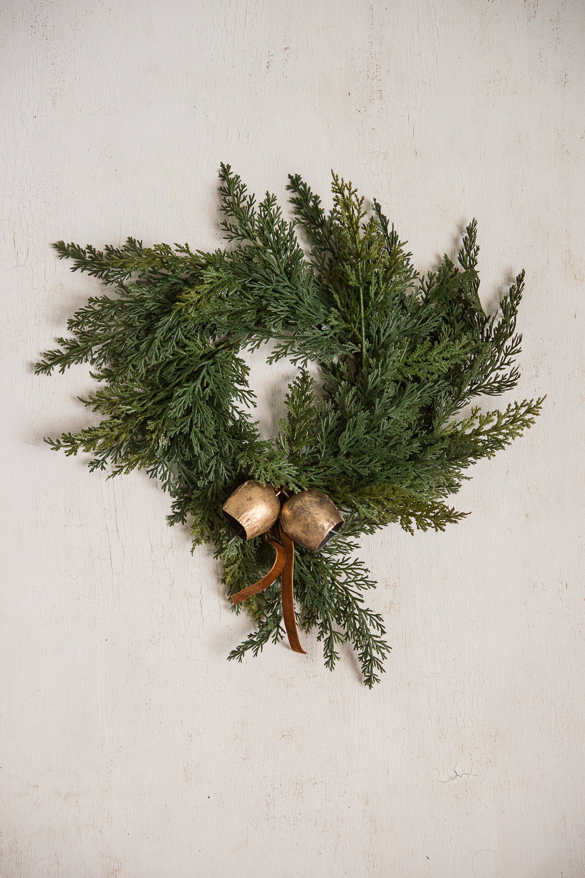 Nov 1 2025-101-2.JPG