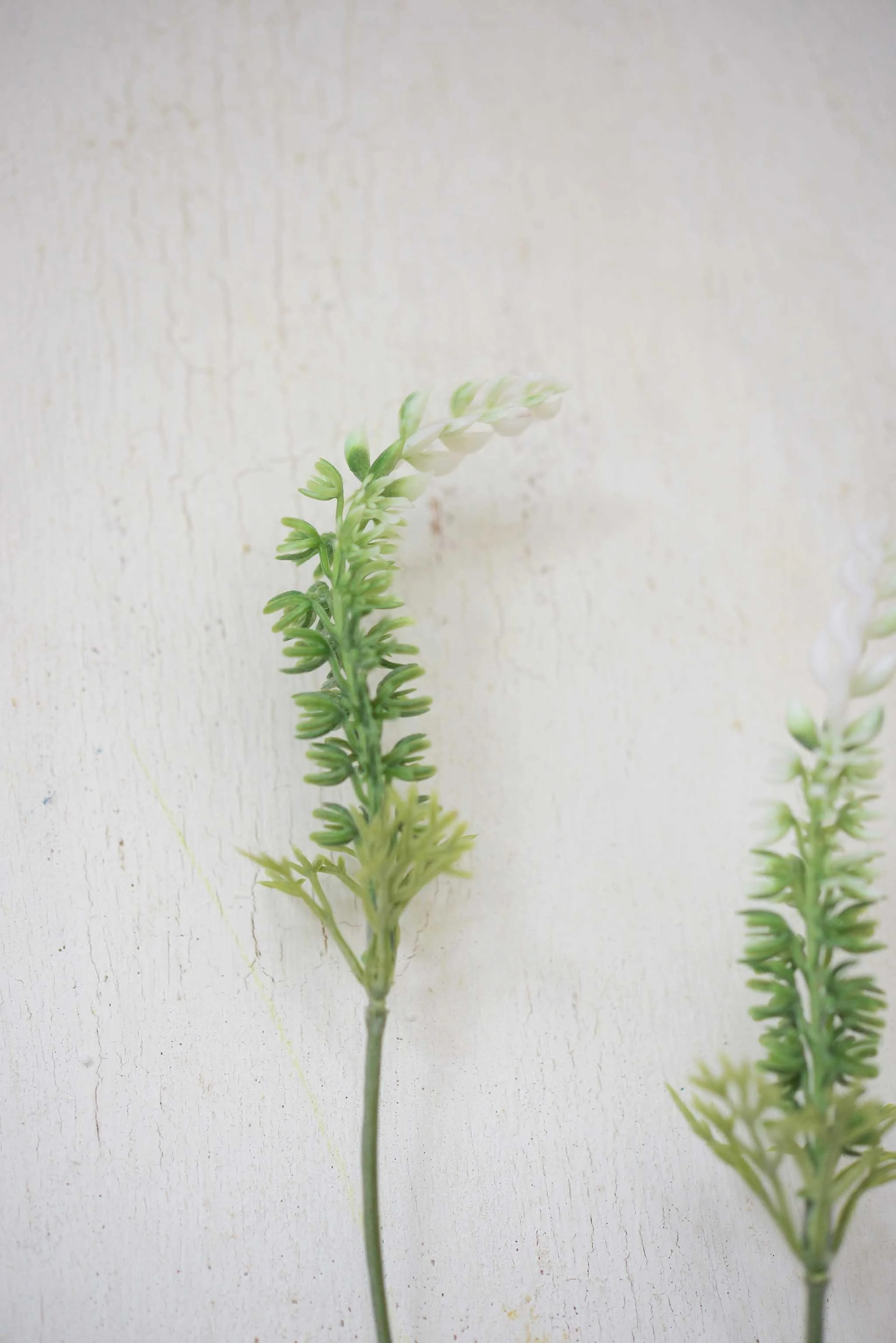 DSC_0402 copy for web.jpg