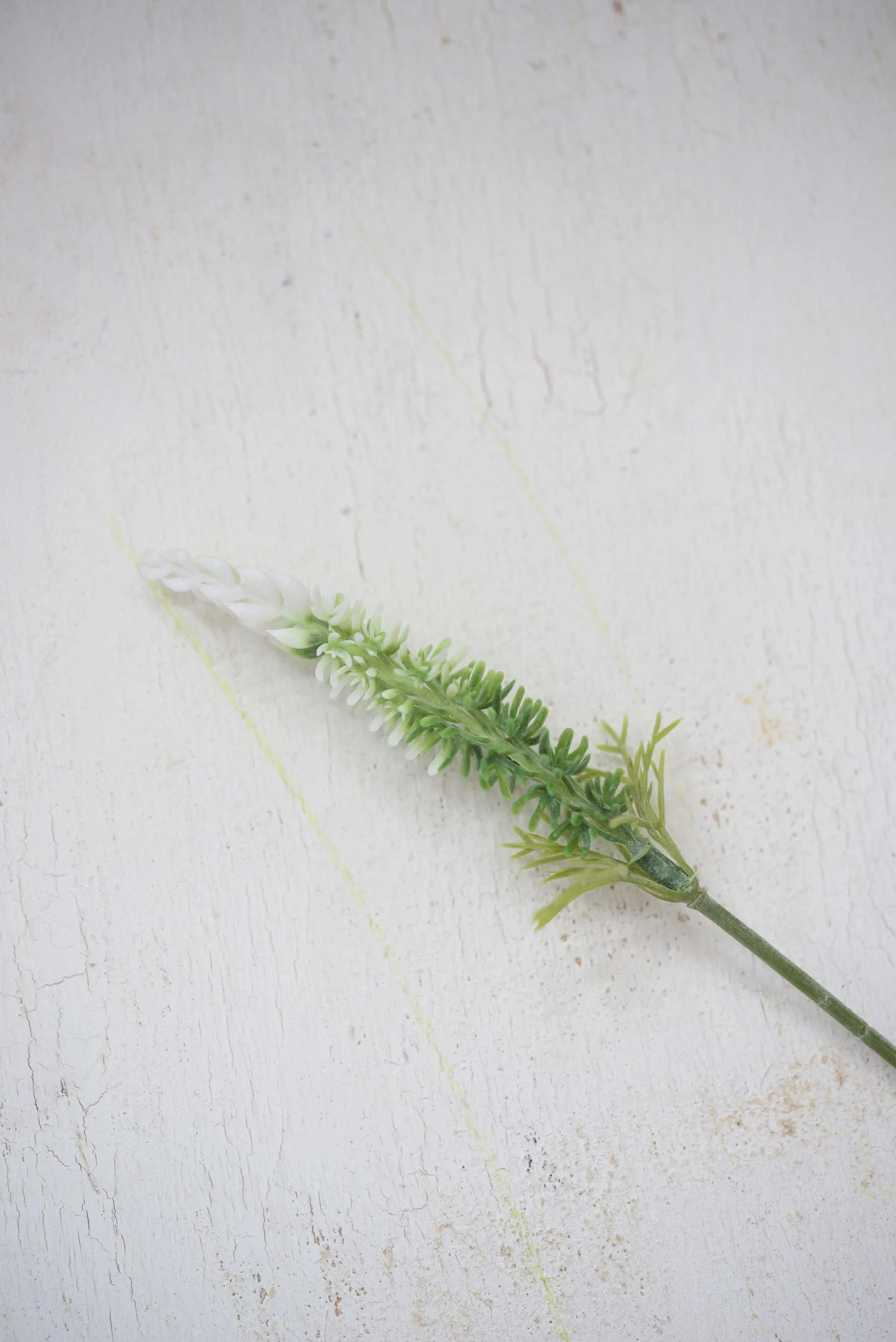 DSC_0400 copy for web.jpg