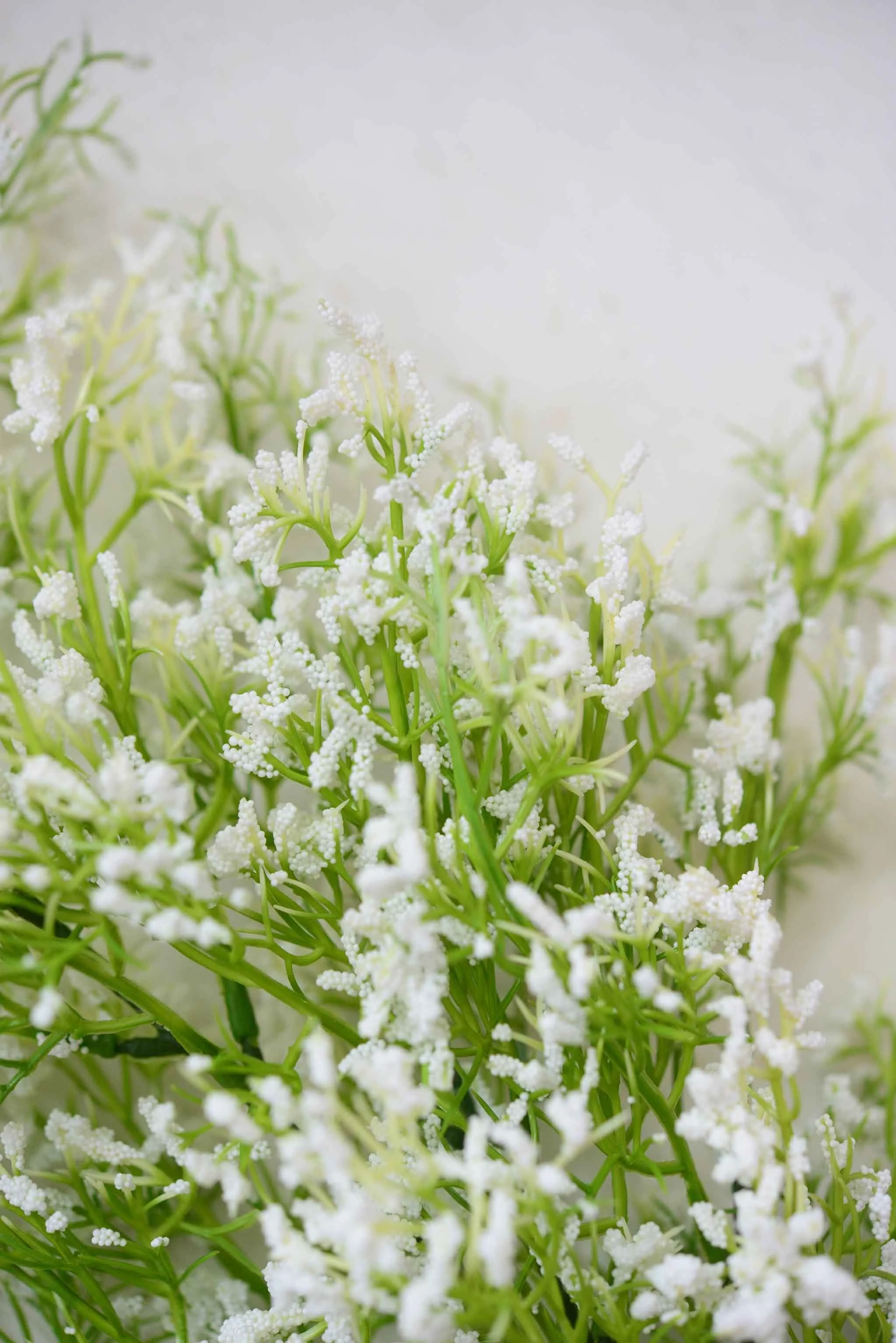 DSC_0388 copy for web.jpg