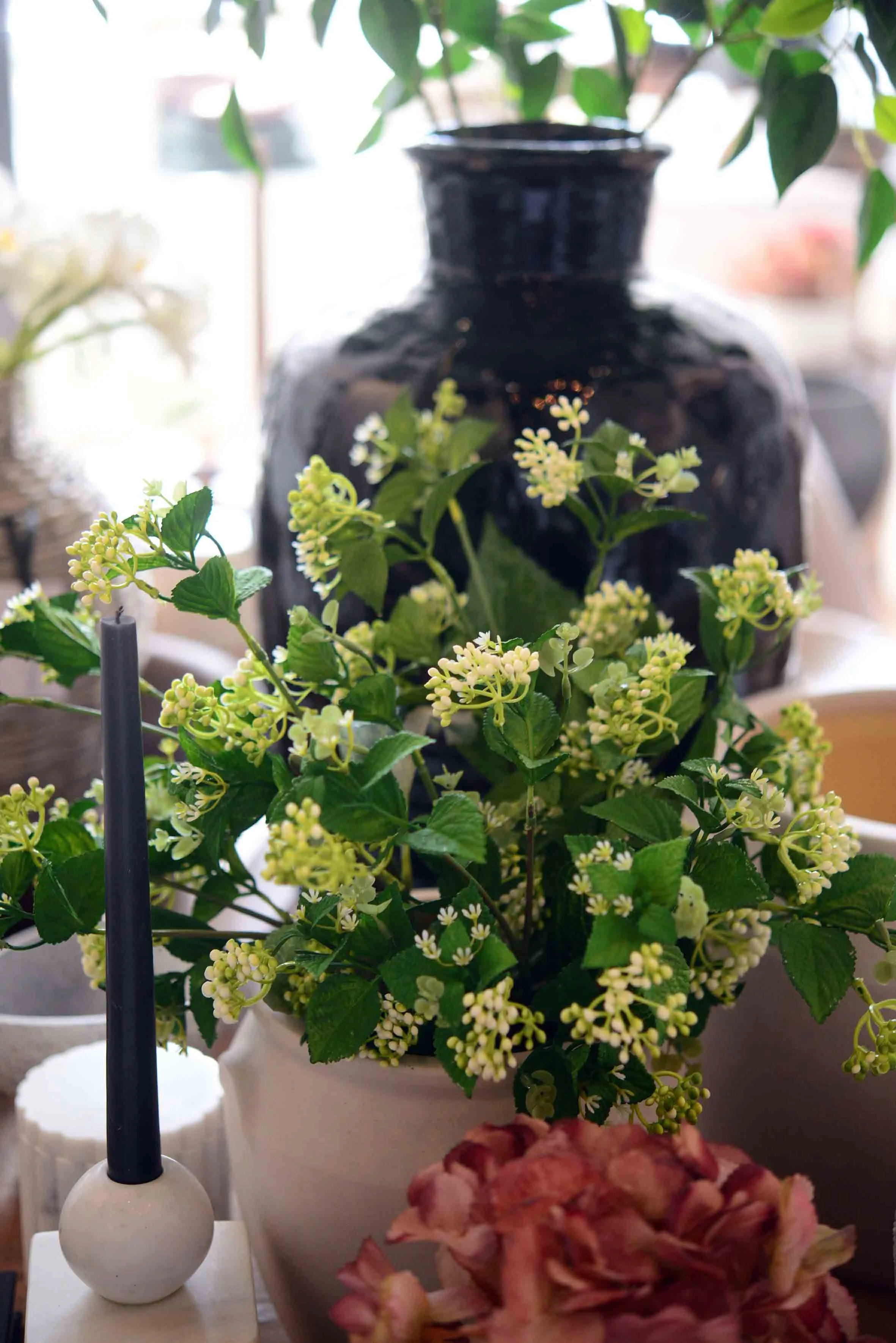 DSC_0297 copy 2 for web.jpg