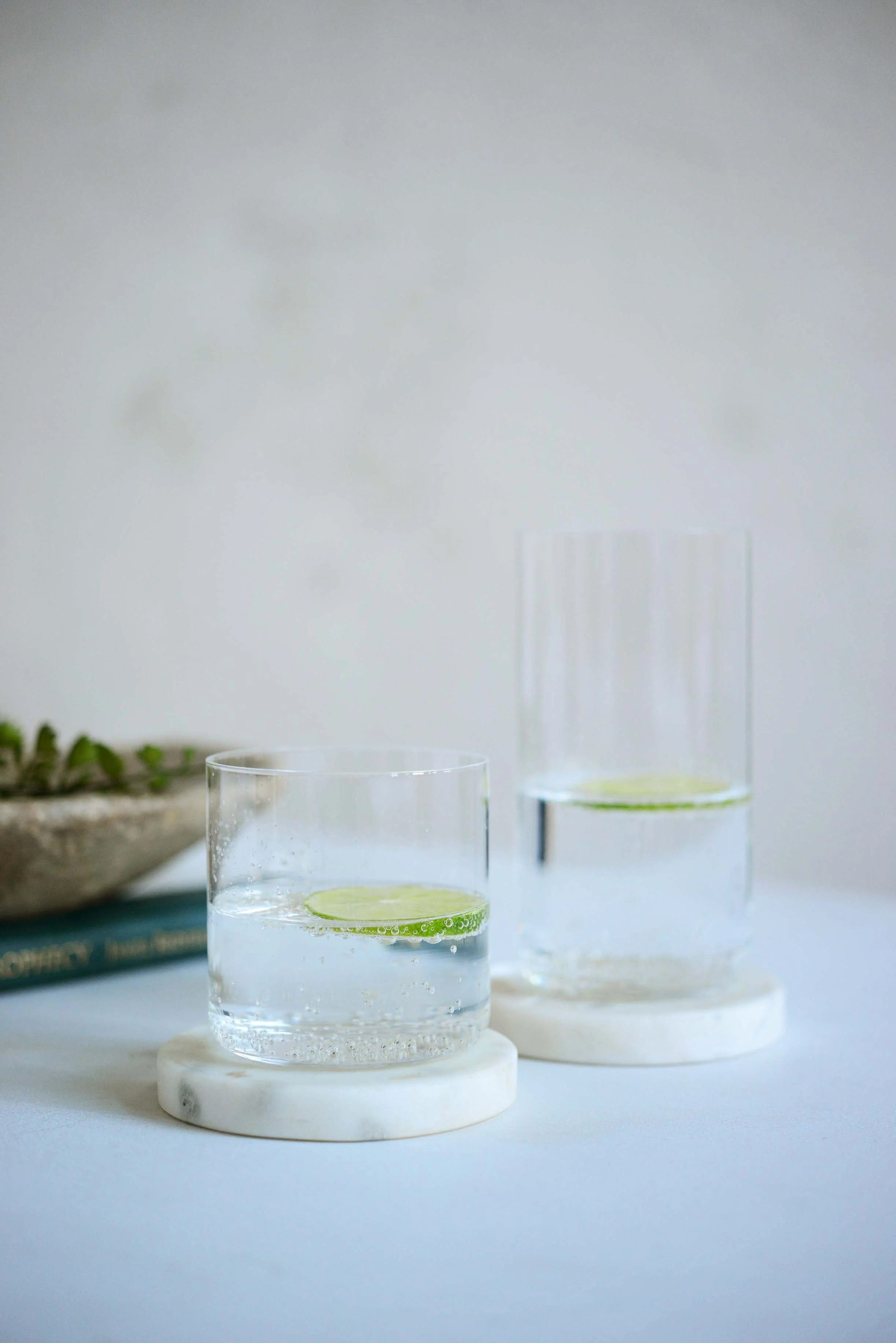 DSC_0010 resized for web.jpg