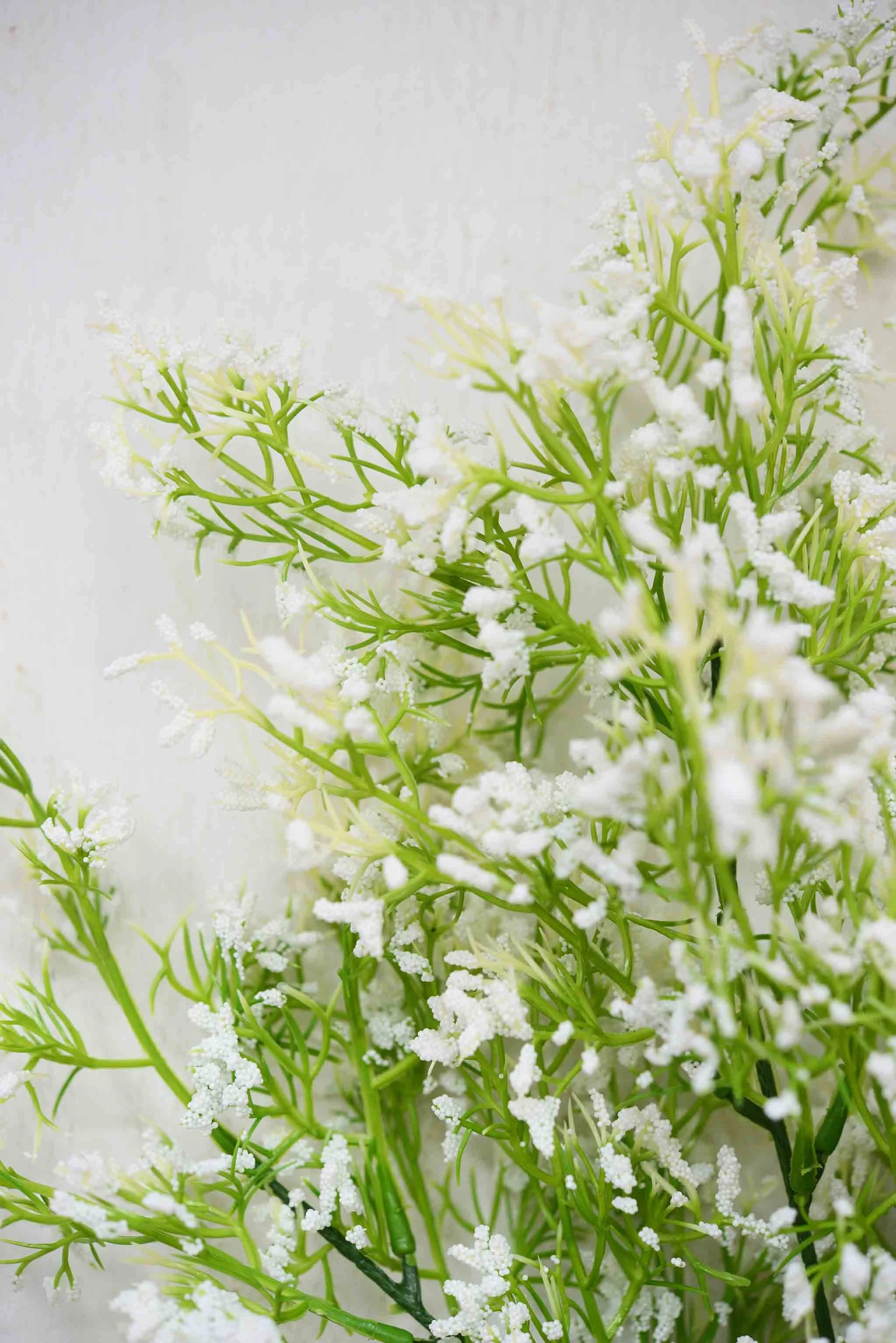 DSC_0385 copy for web.jpg