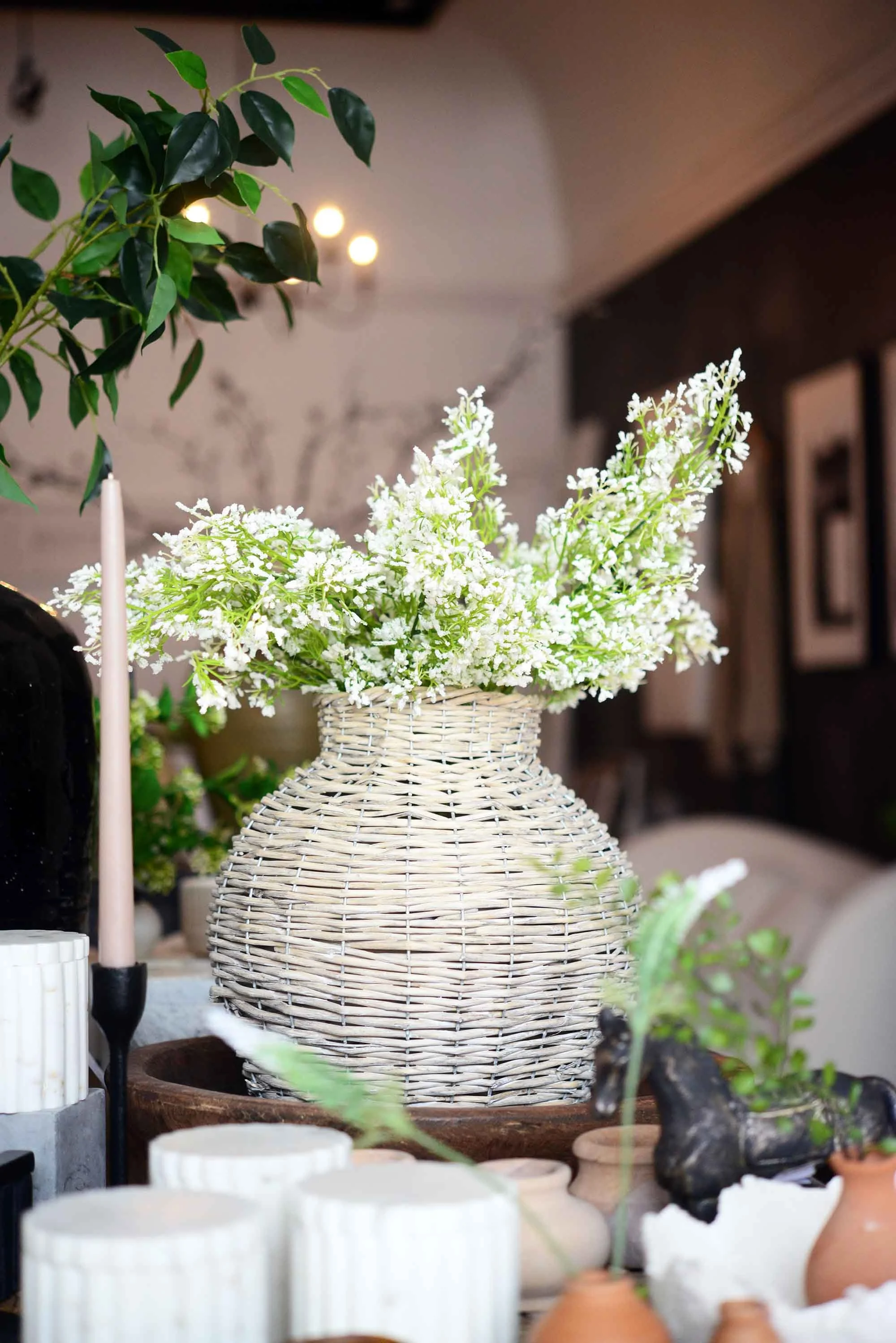 DSC_0337 copy for web.jpg