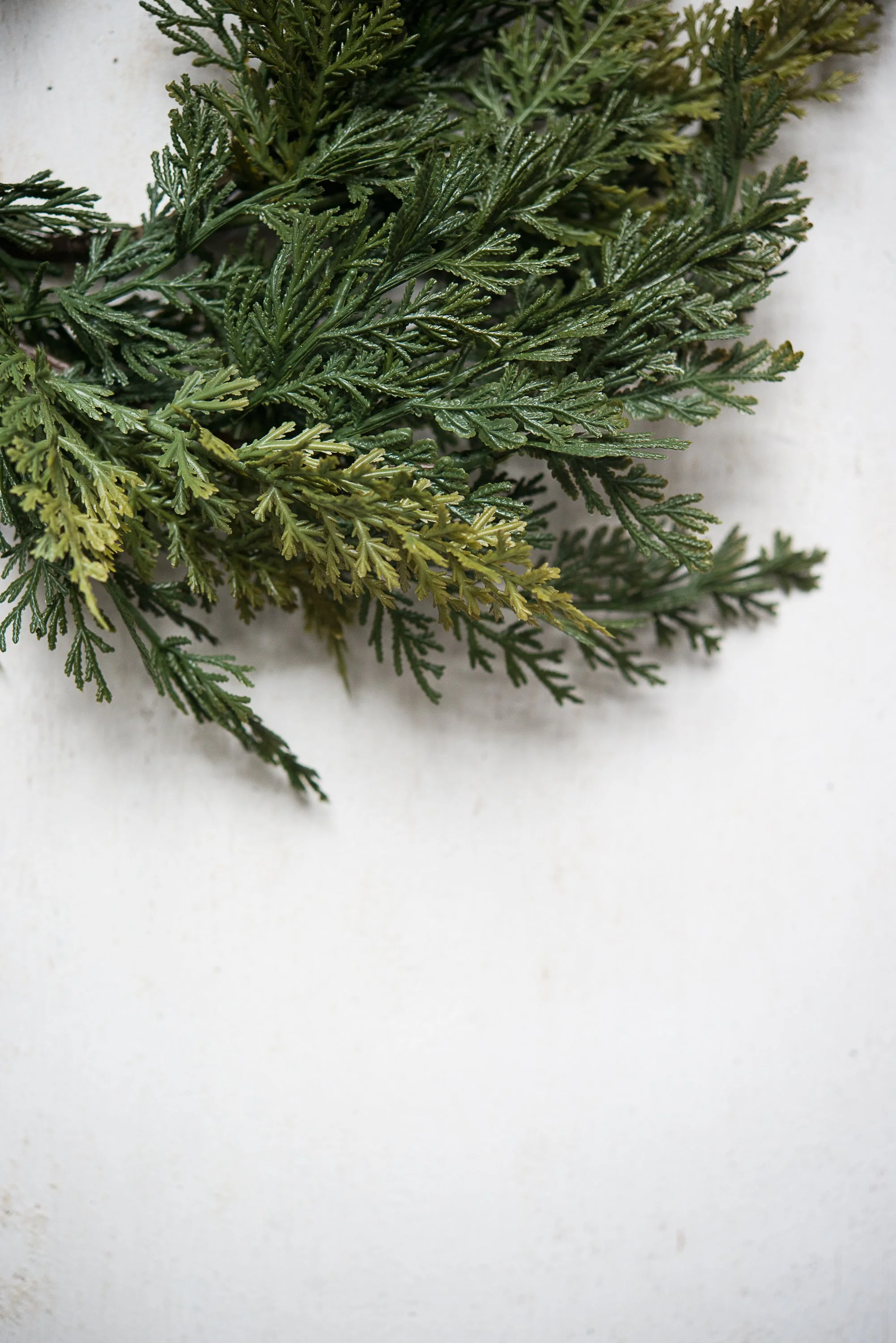 Oct 30 2025-15.JPG (Copy)