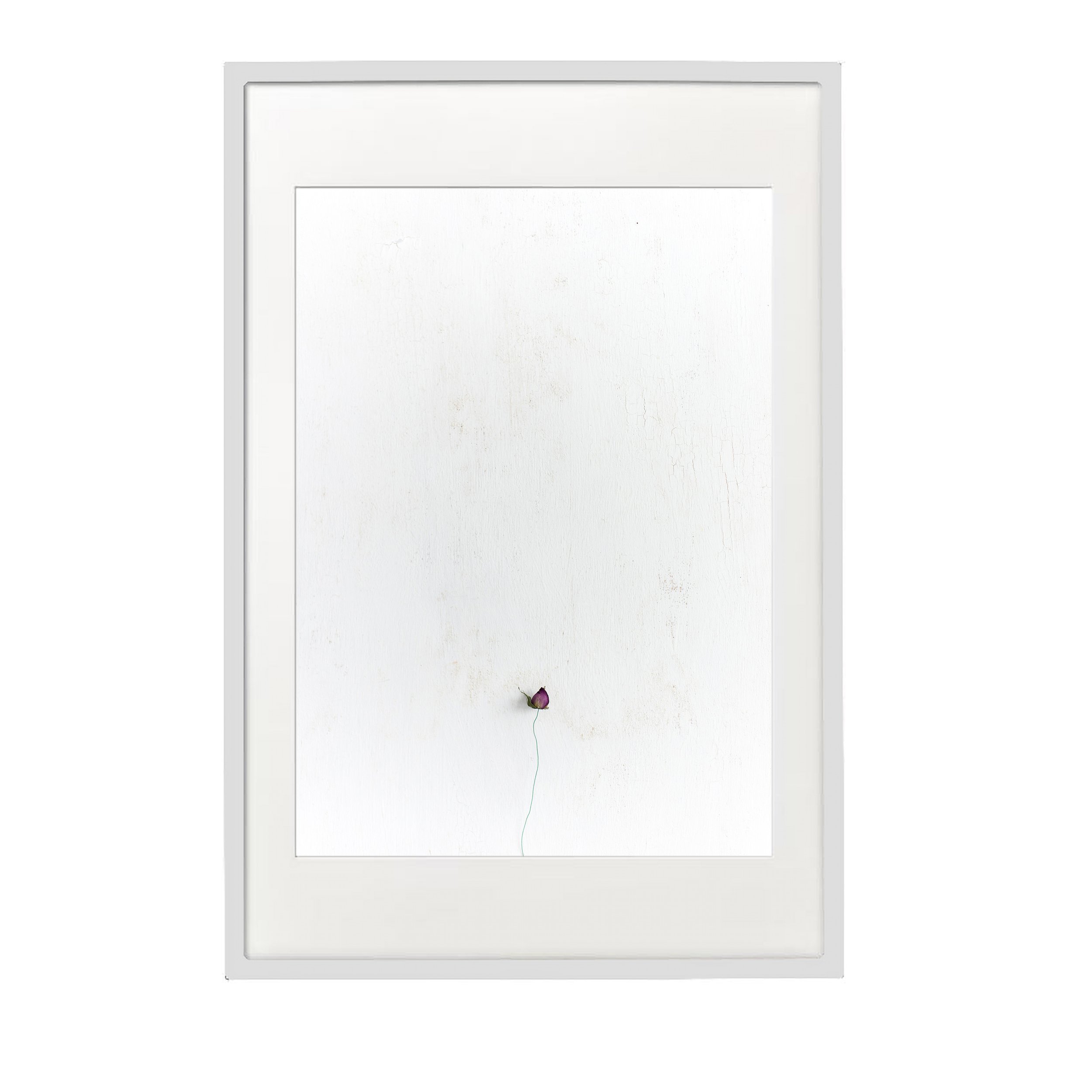 amor I white Frame.jpg