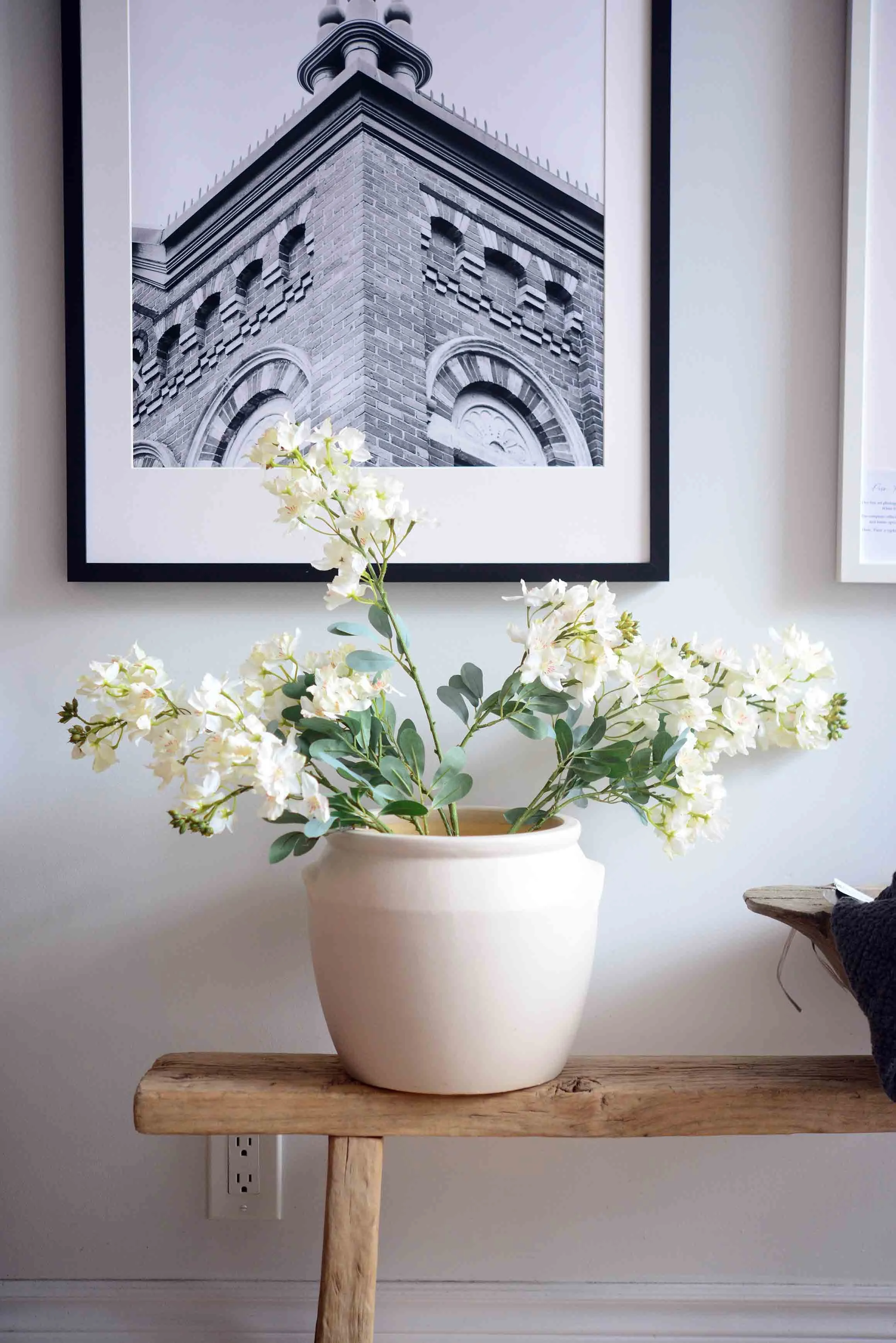 DSC_0334 copy for web.jpg