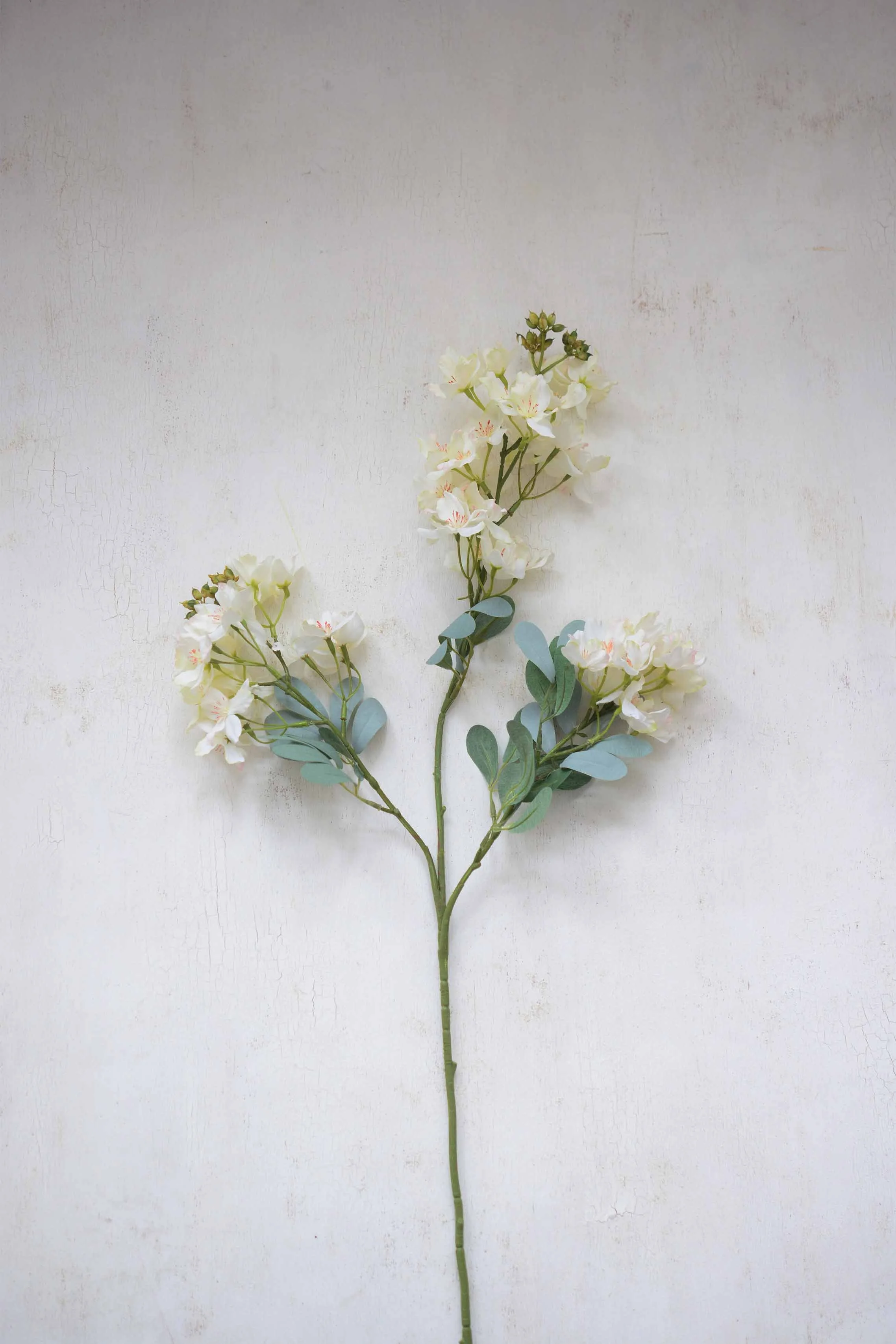 DSC_0376 copy for web.jpg