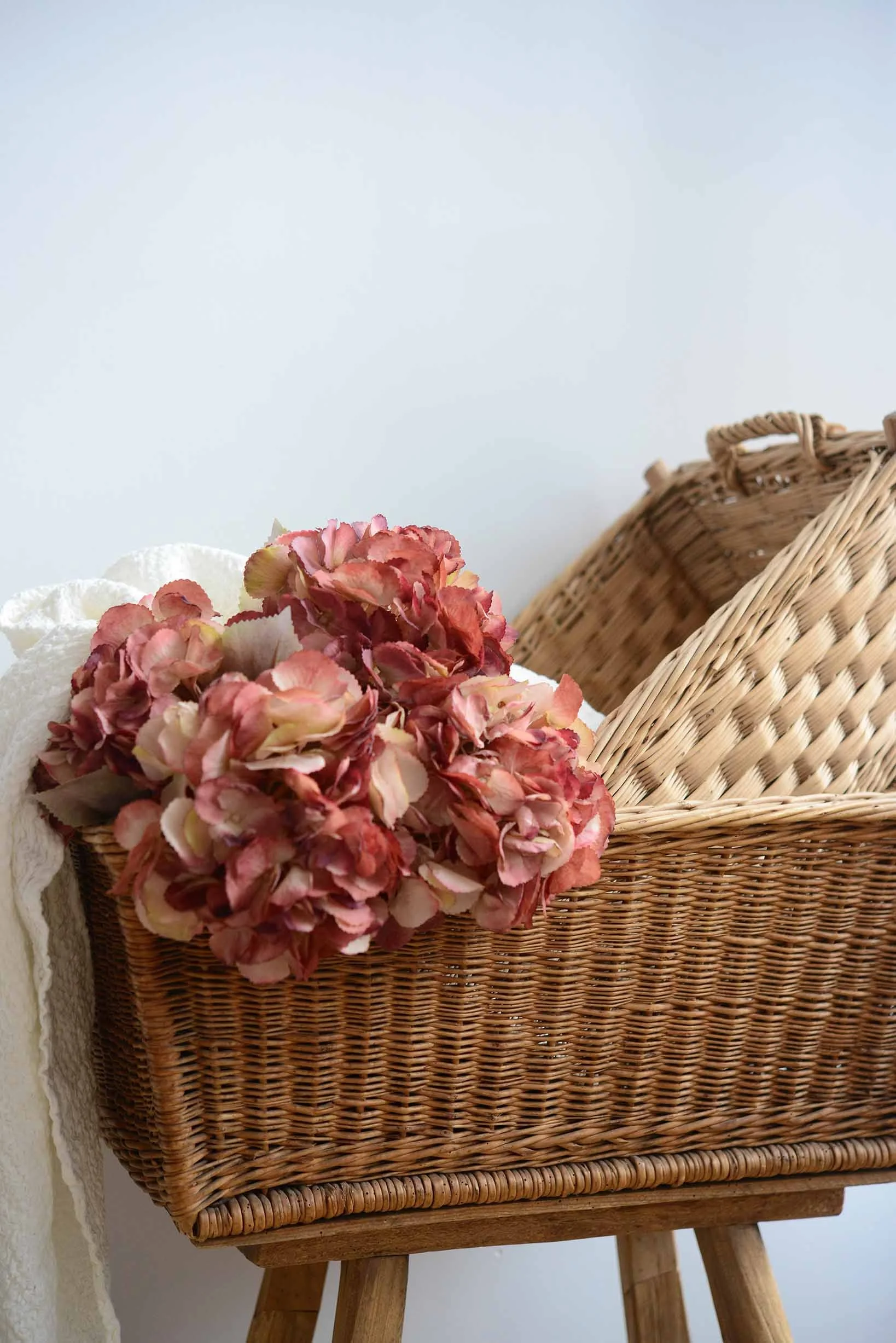 DSC_0236 copy for web.jpg