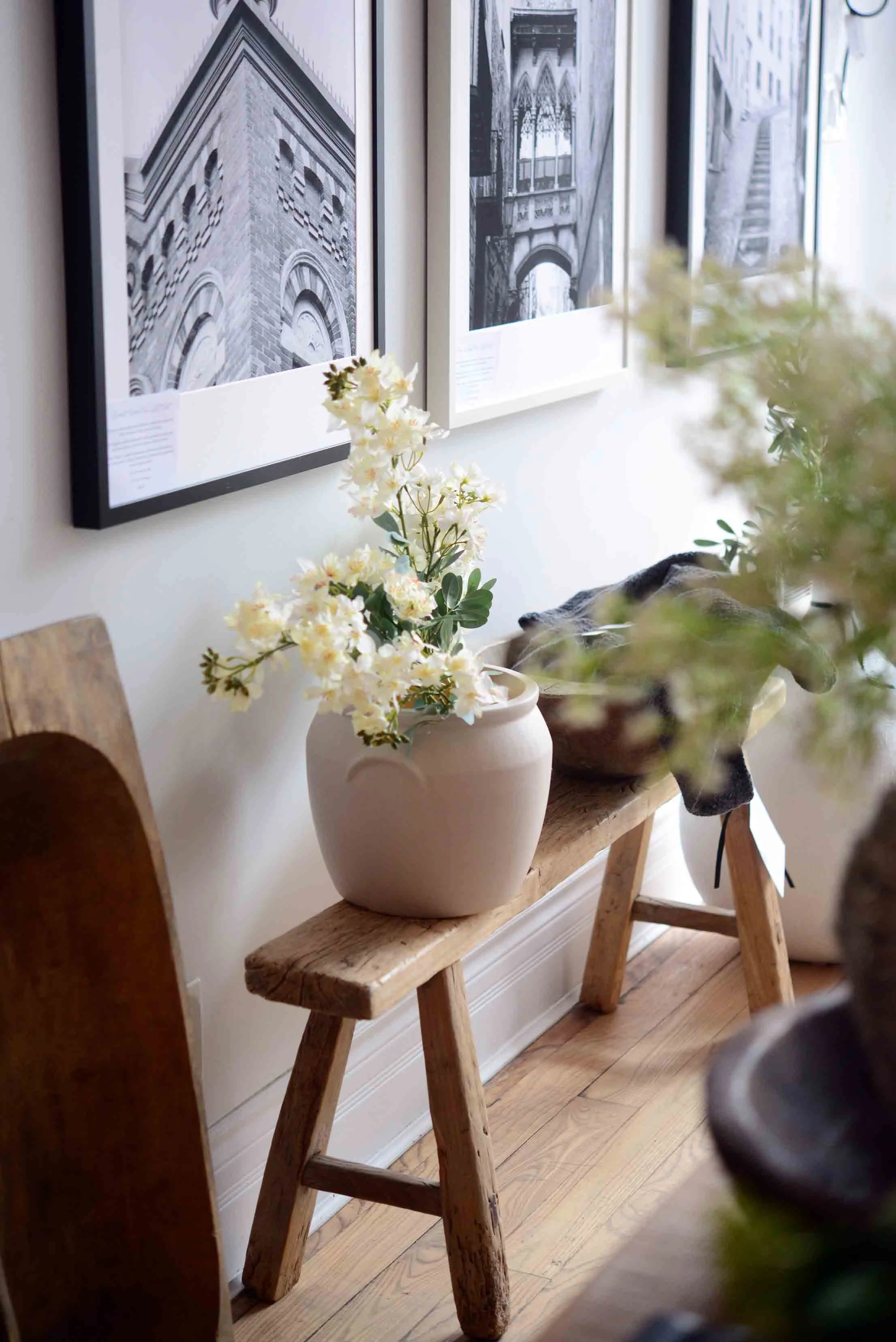 DSC_0330 copy for web.jpg