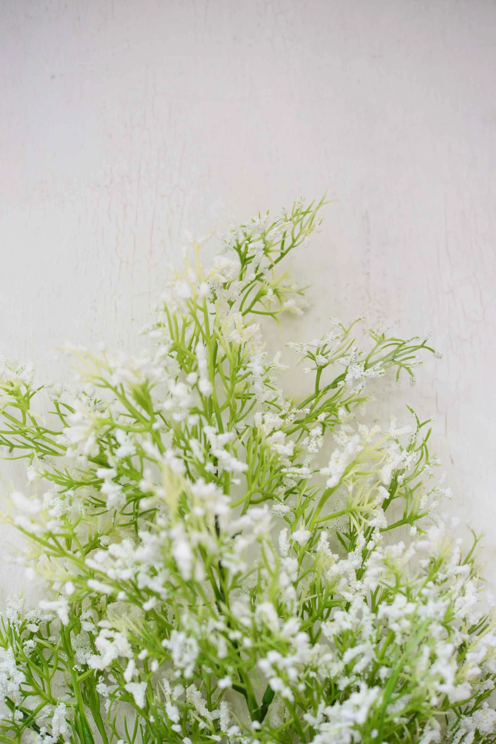 DSC_0387 copy for web.jpg