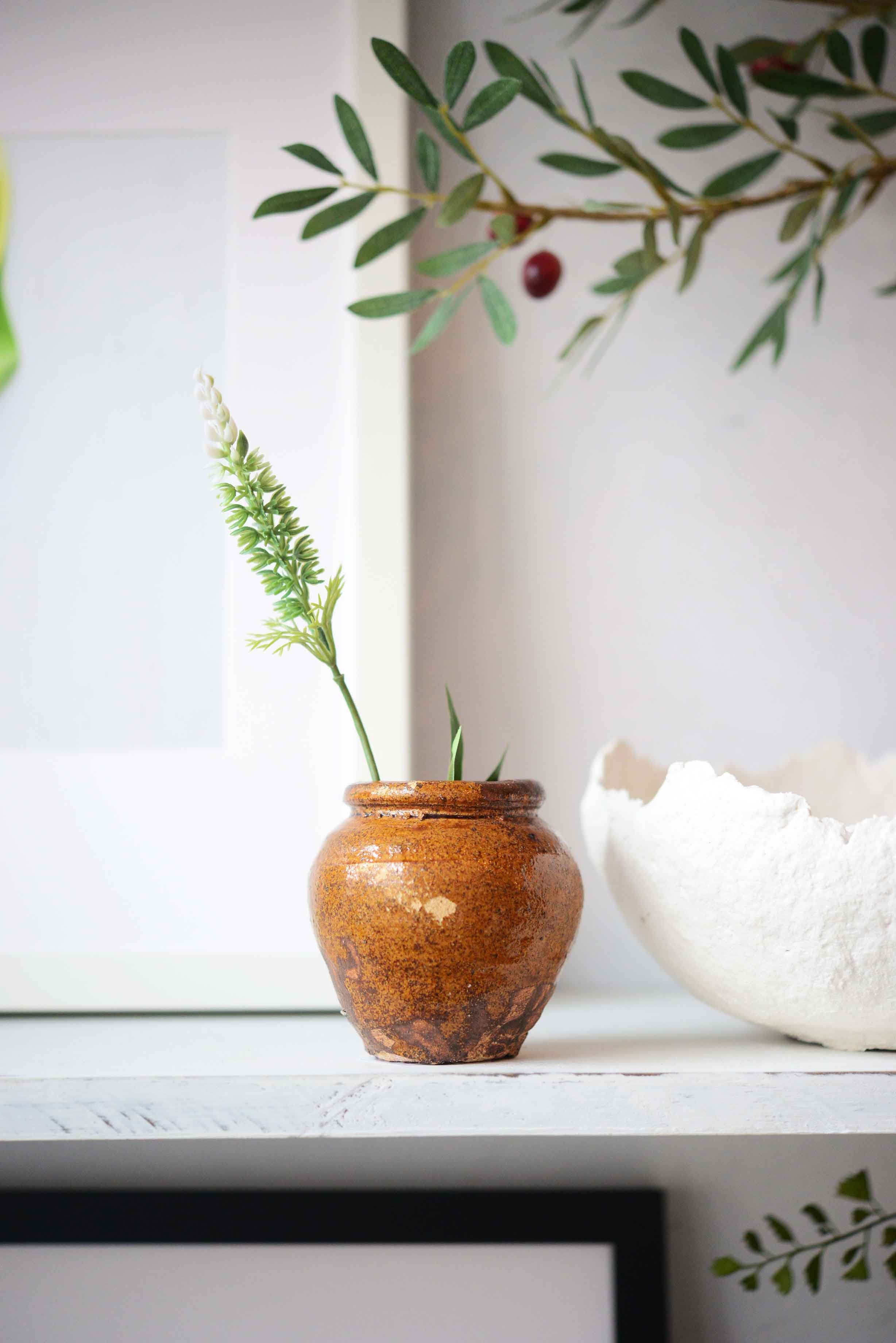 DSC_0426 copy for web.jpg