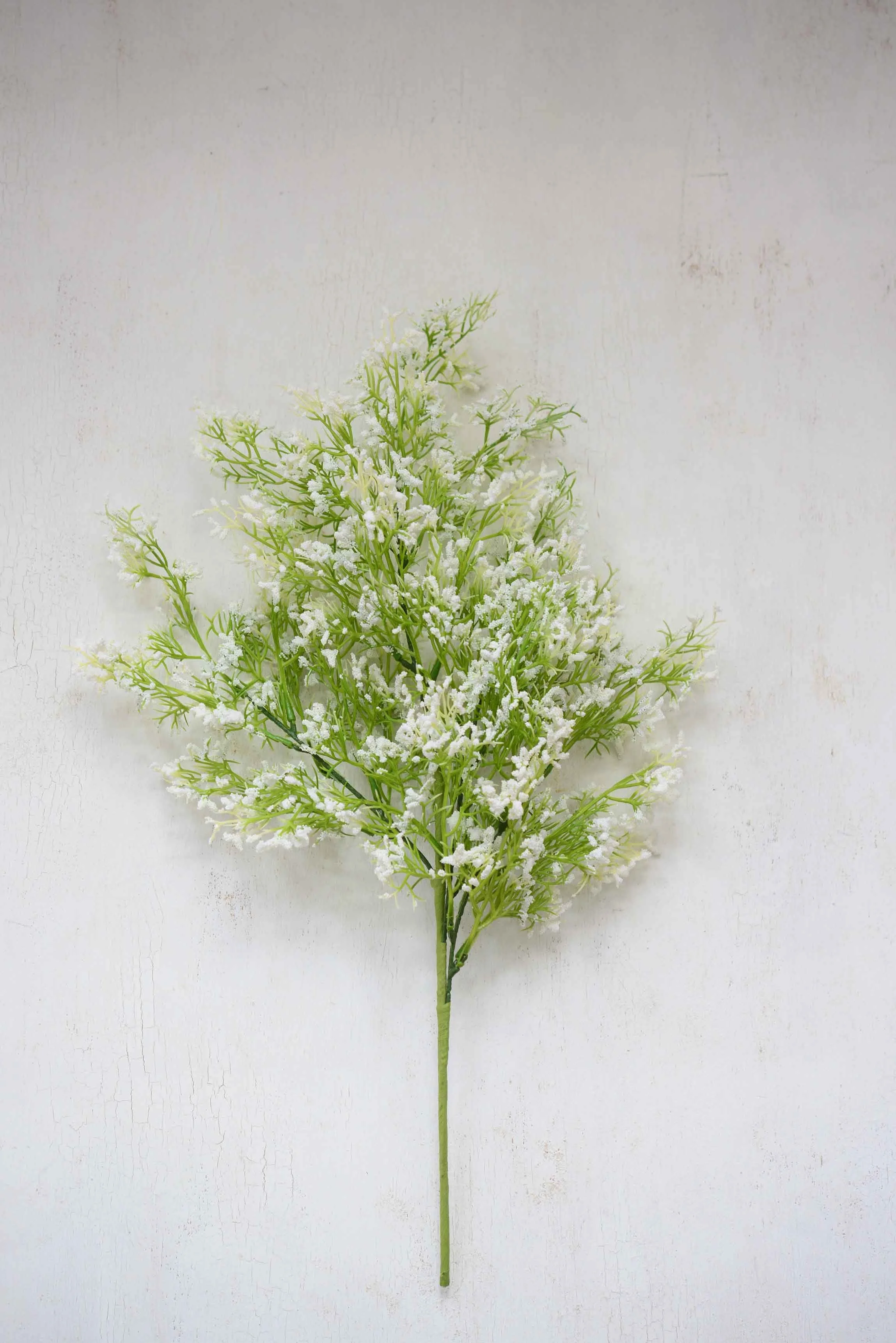 DSC_0384 copy for web.jpg