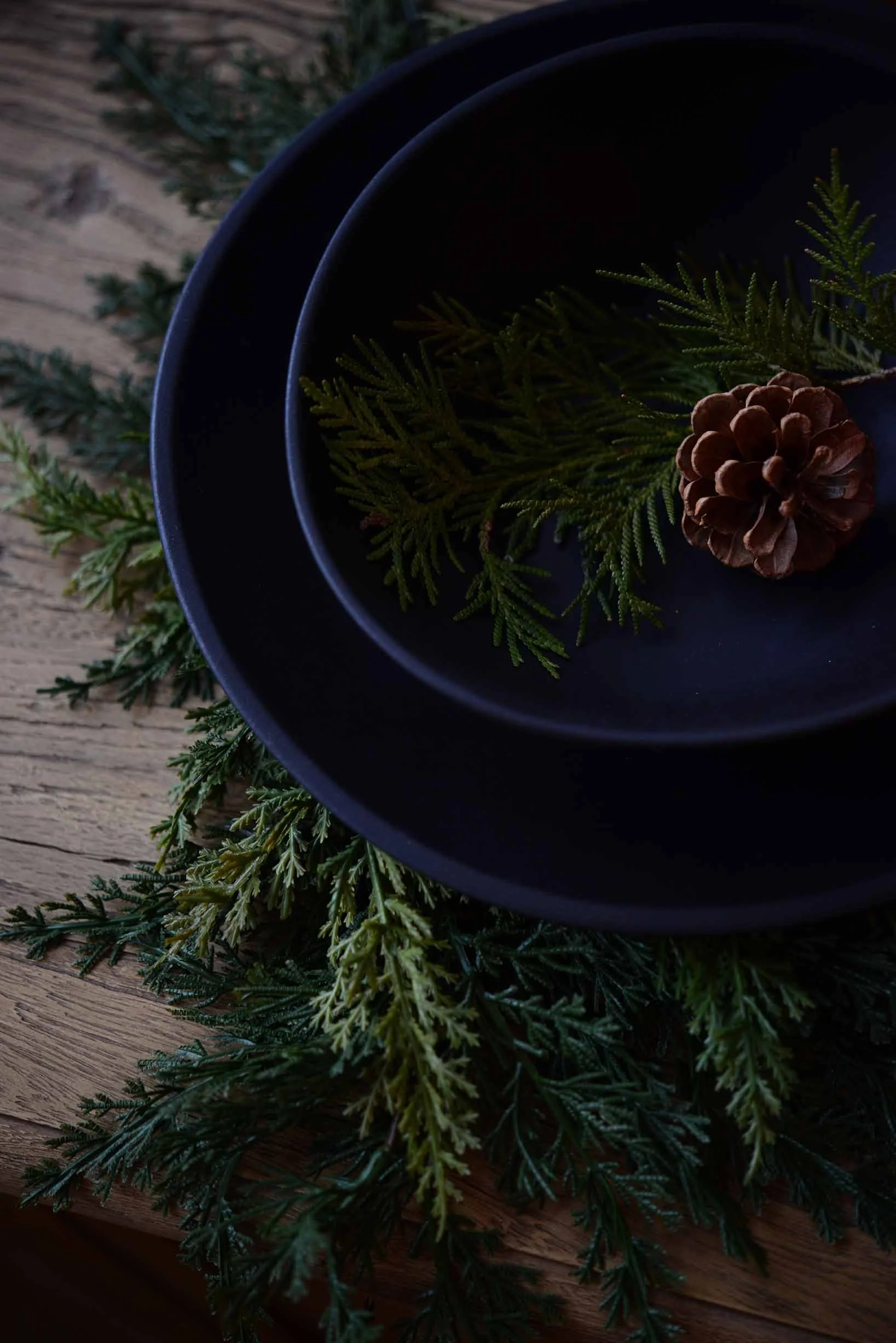 DSC_8164 - resized for web.jpg