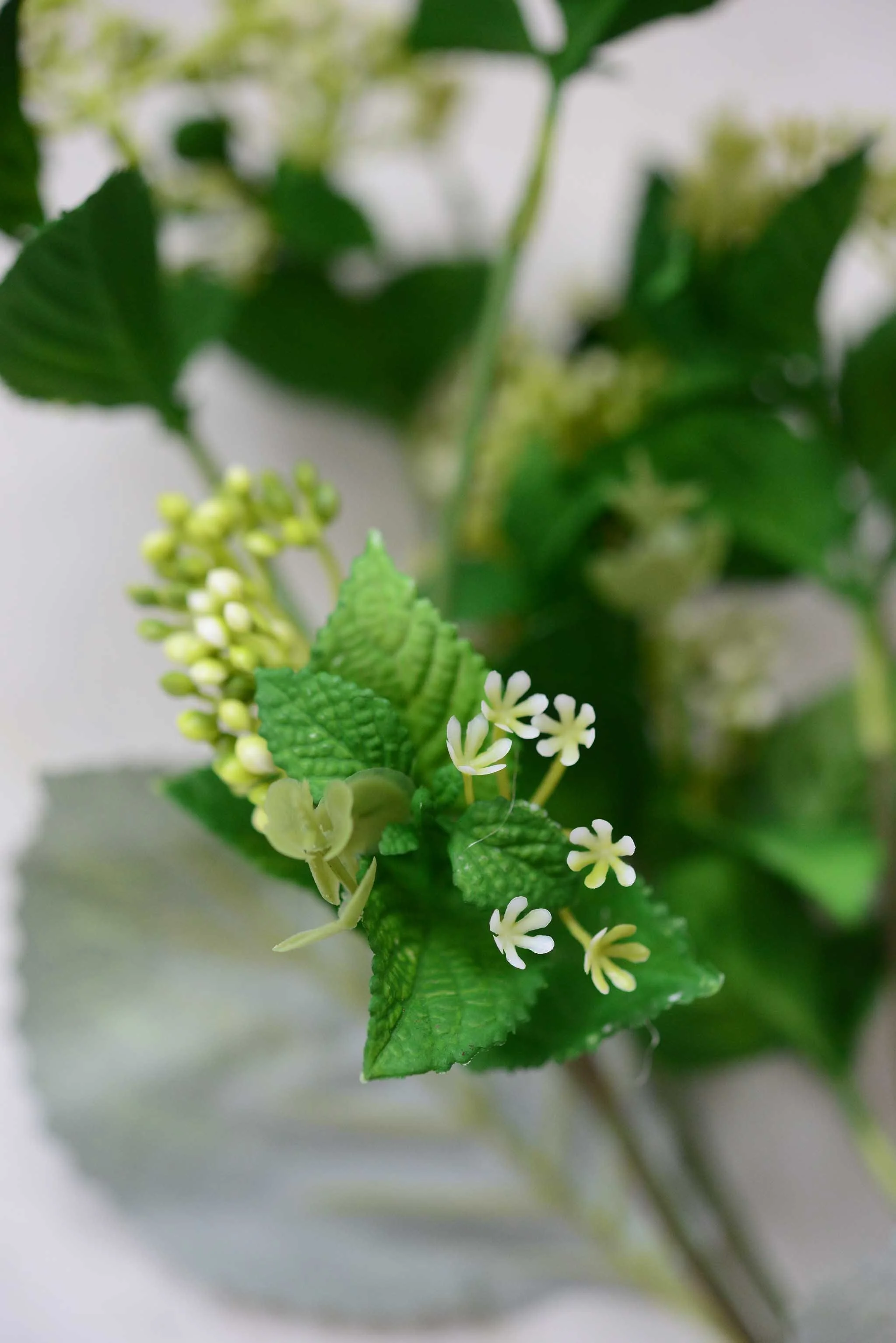 DSC_0394 copy for web.jpg