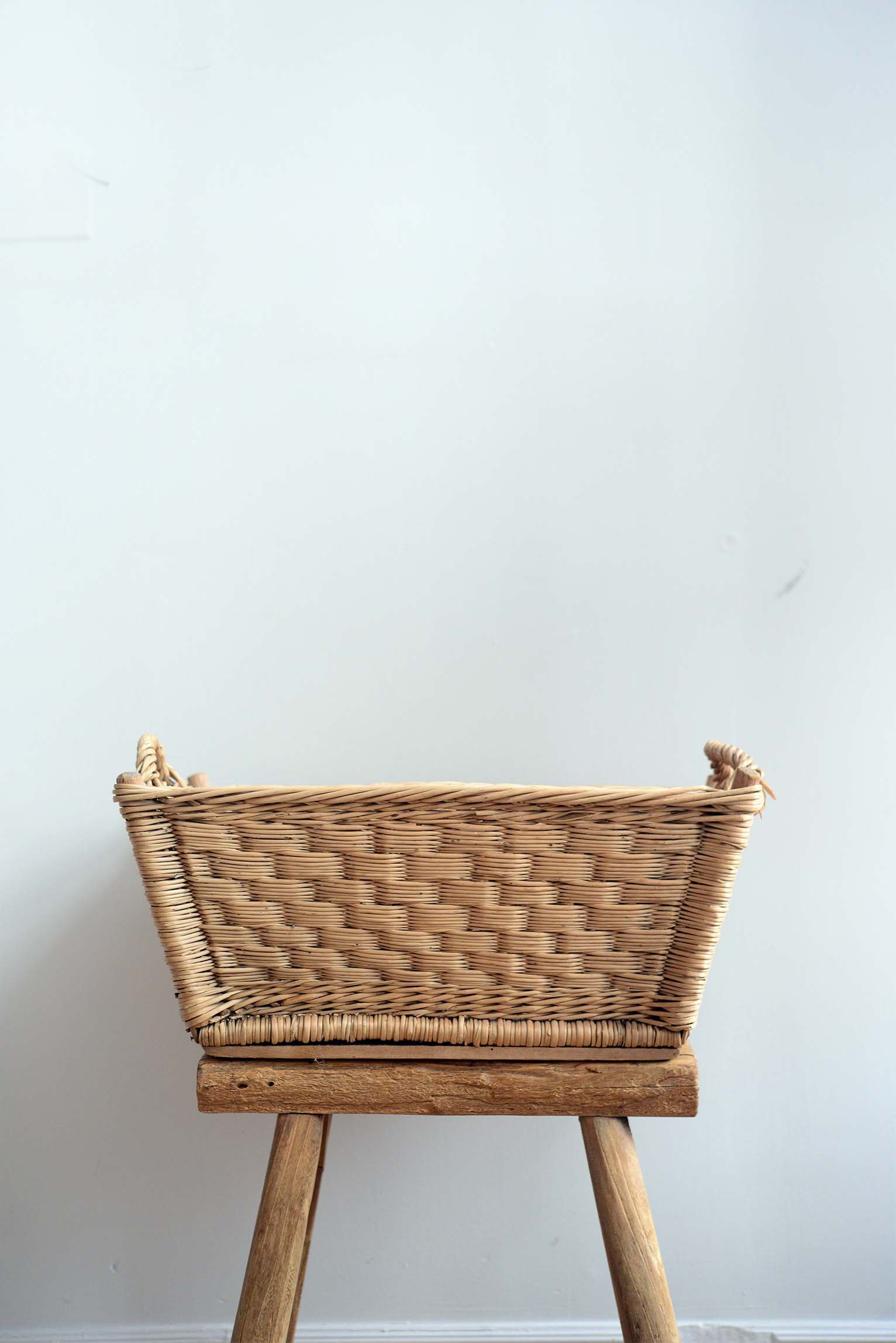 DSC_0224 copy for wb.jpg