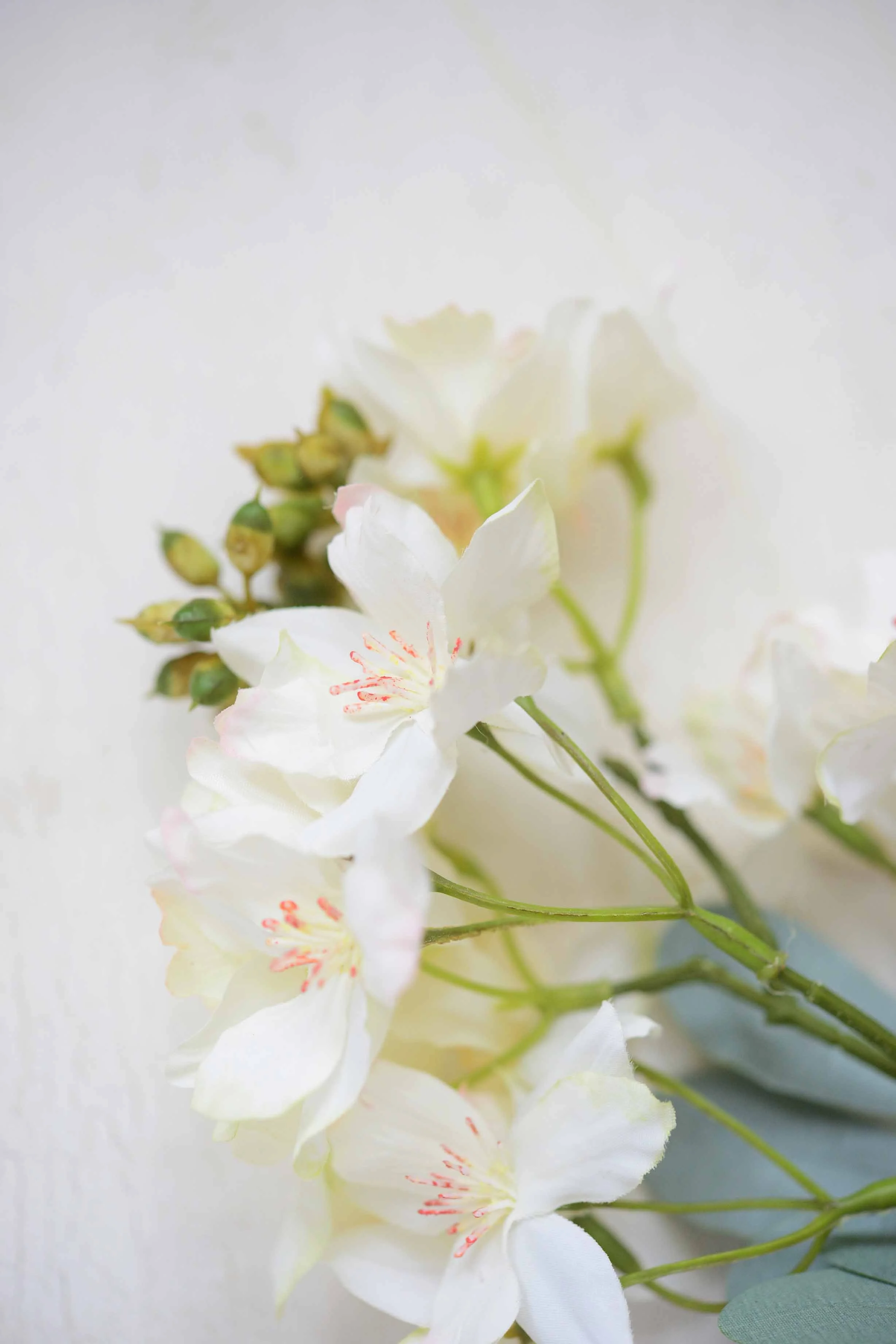 DSC_0378 copy for web.jpg