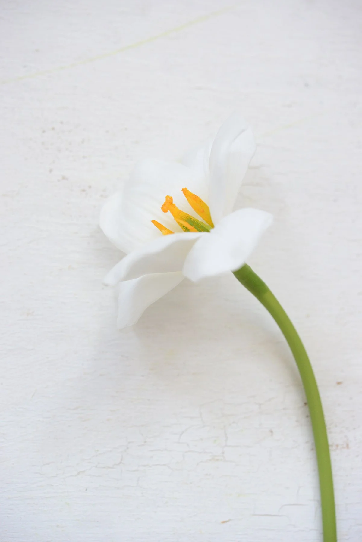premium faux lily stem-005.jpg