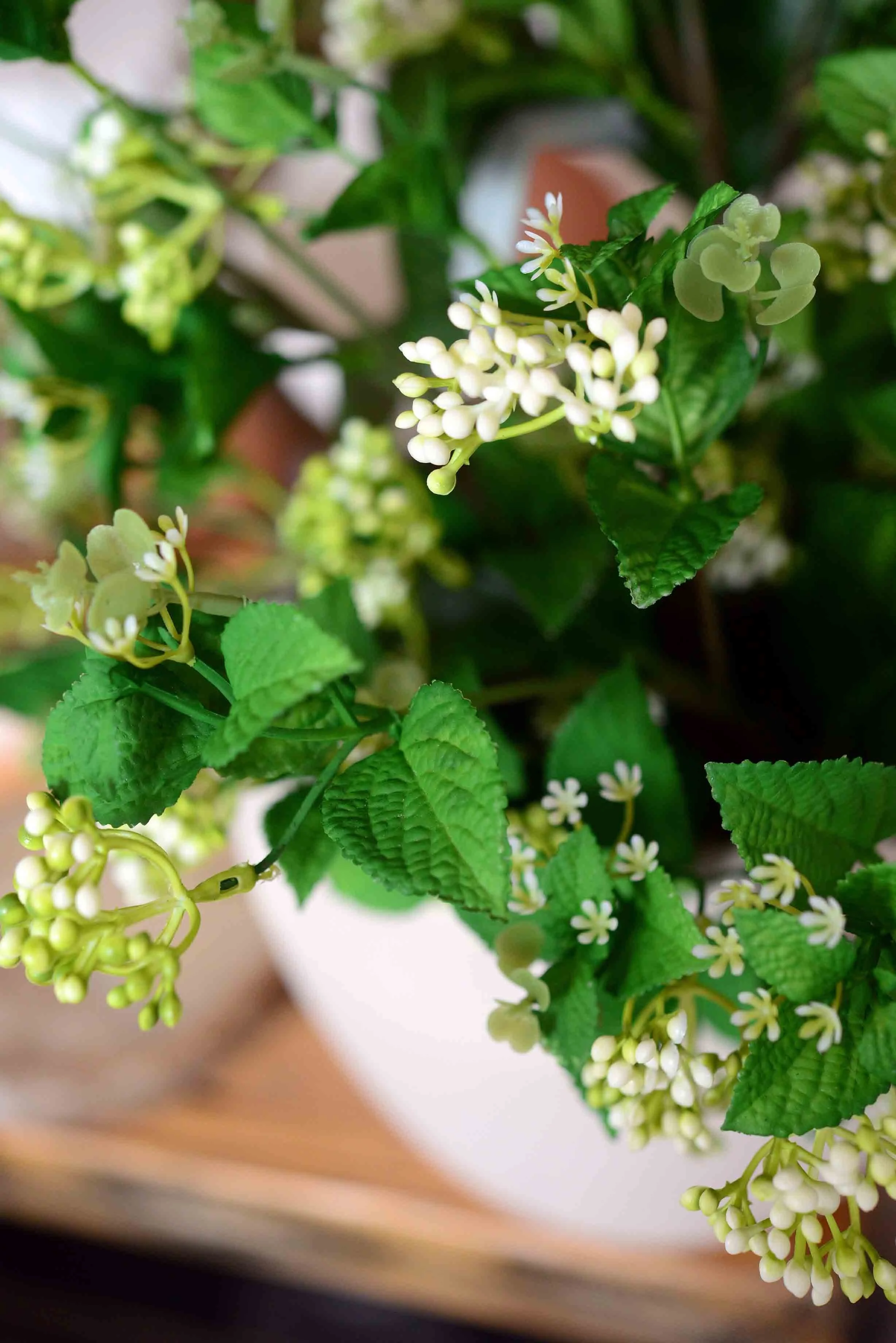 DSC_0296 copy 2 for web.jpg