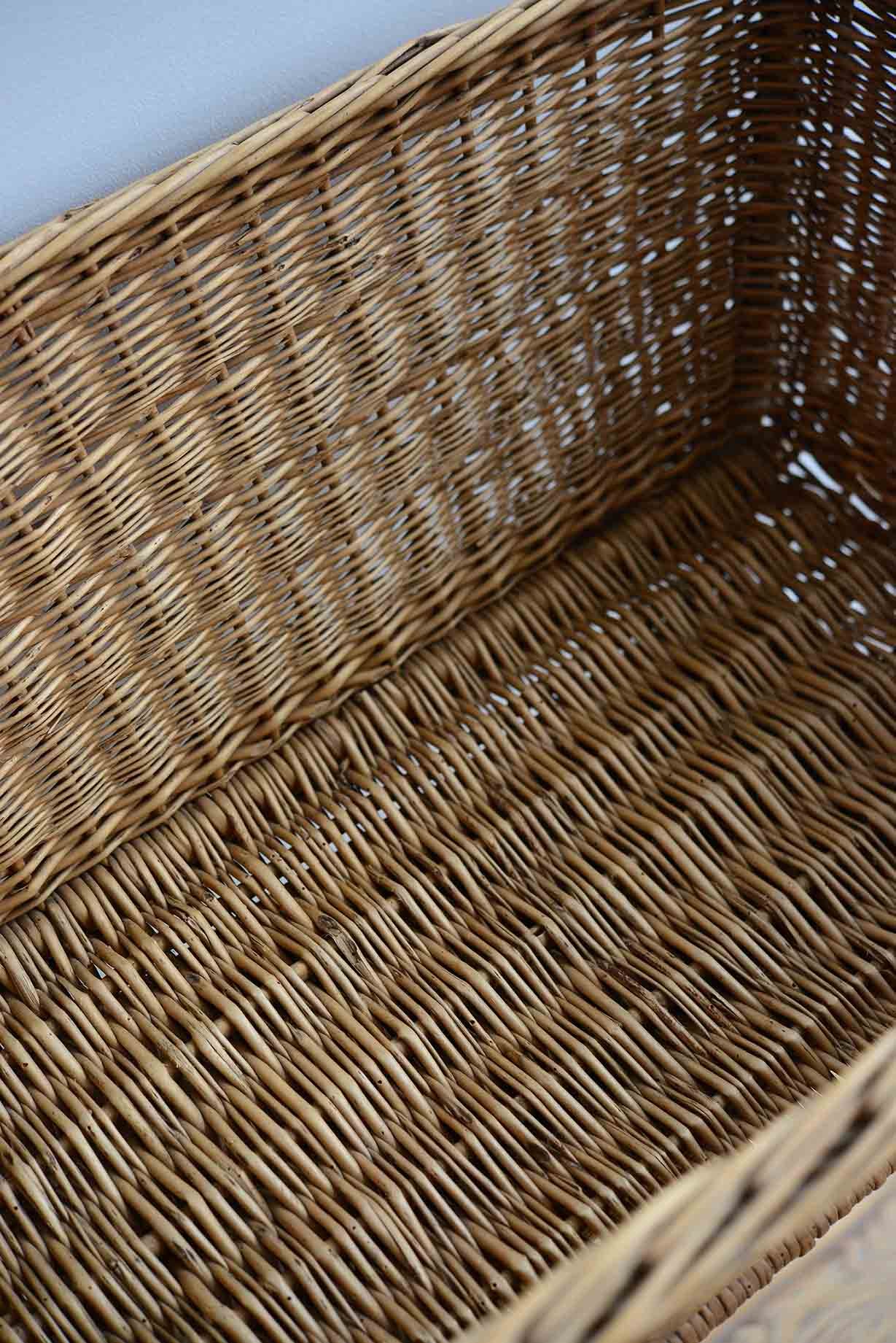 DSC_0216 copy for web.jpg