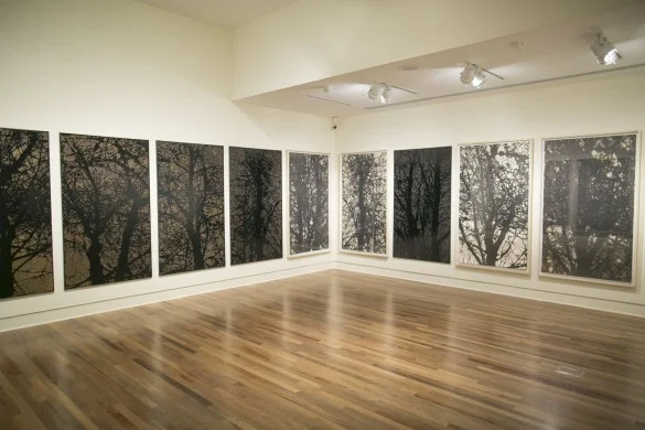 Installation view of woodblocks and prints from Cohan’s Samish series