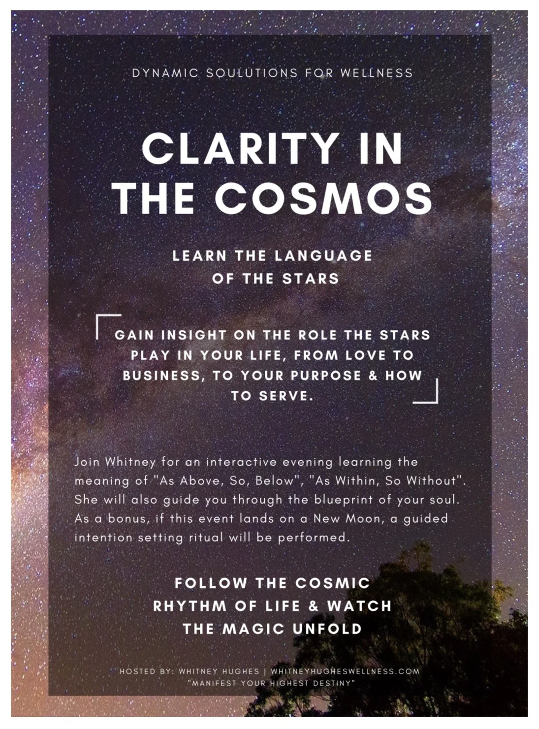 cosmos.jpg