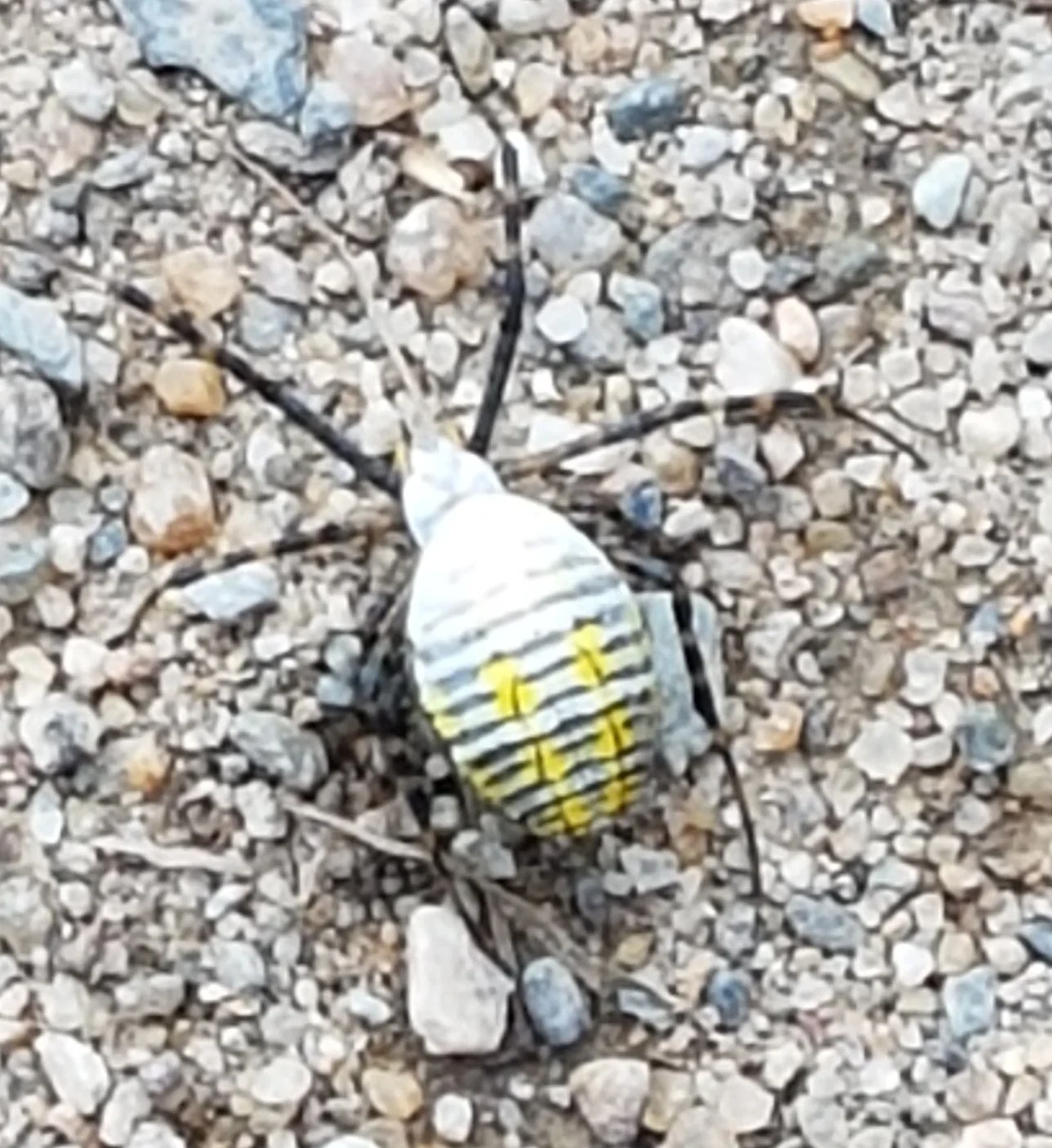 20180930_135305.jpg