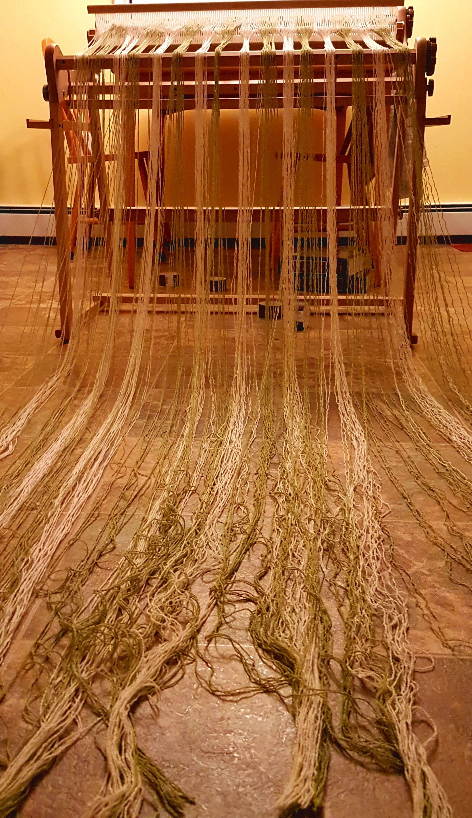 20181230_200958.jpg
