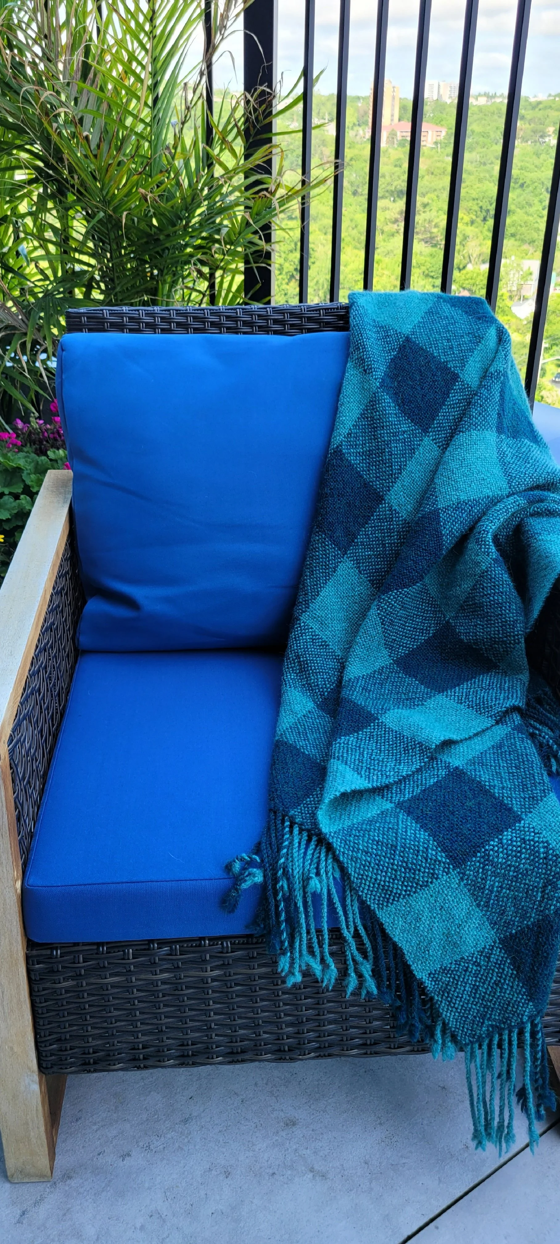 20230706_094707.jpg (Copy)