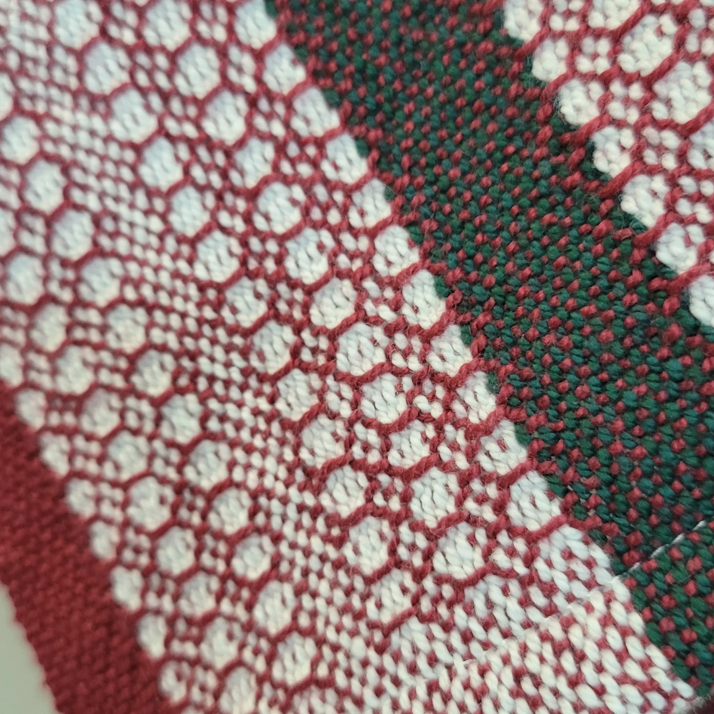 20251203_150043.jpg