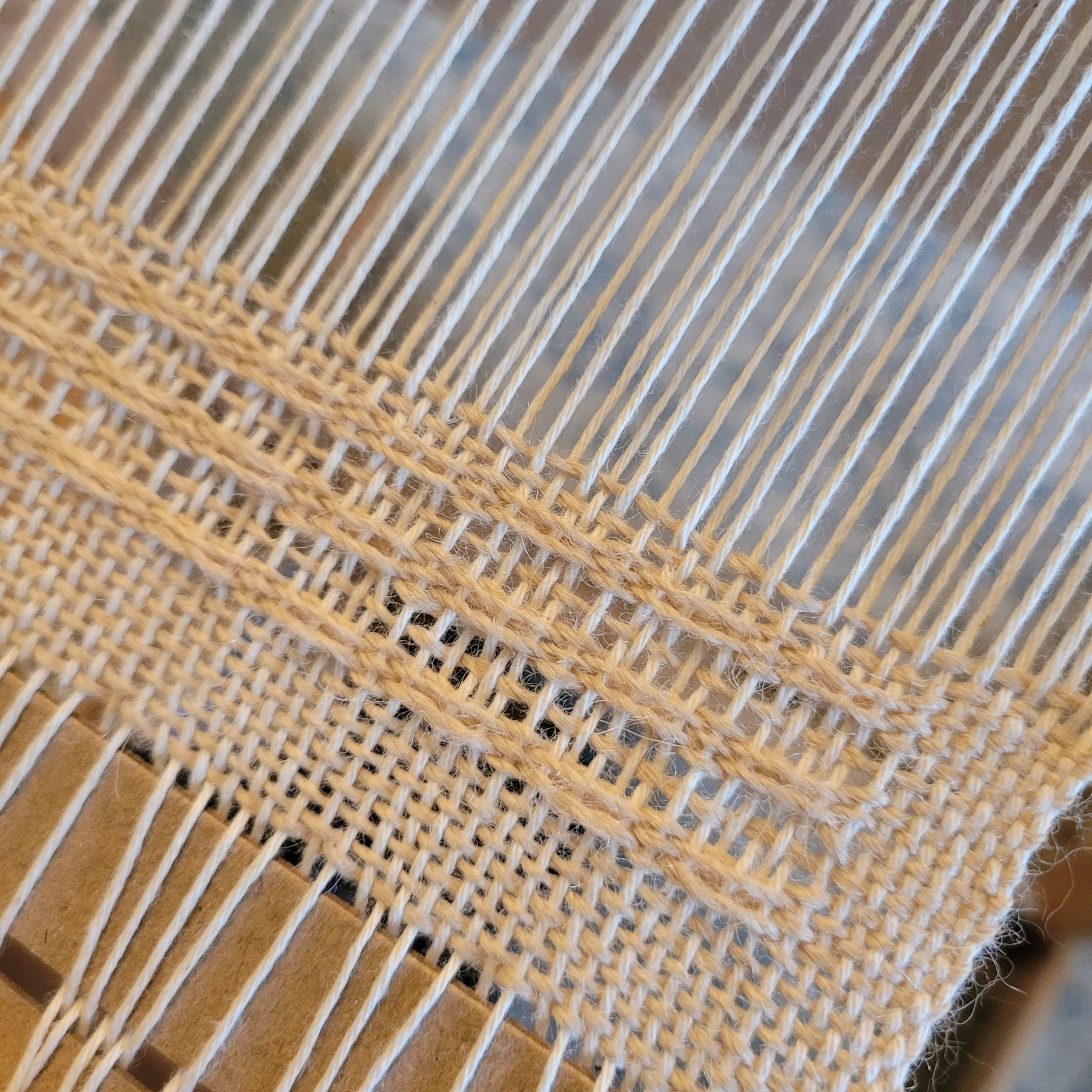 20250506_123312.jpg (Copy)