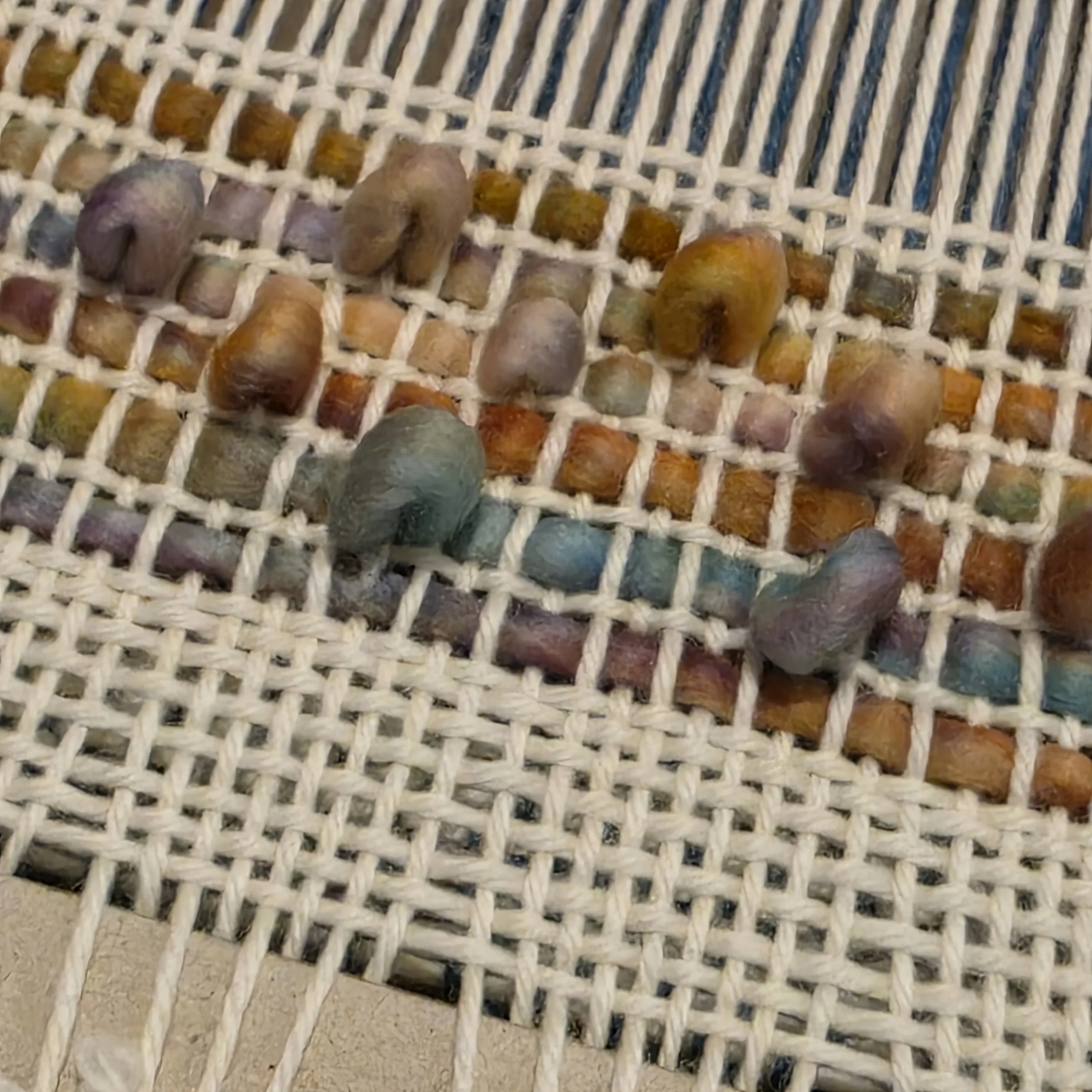 20260222_073556.jpg (Copy) (Copy)