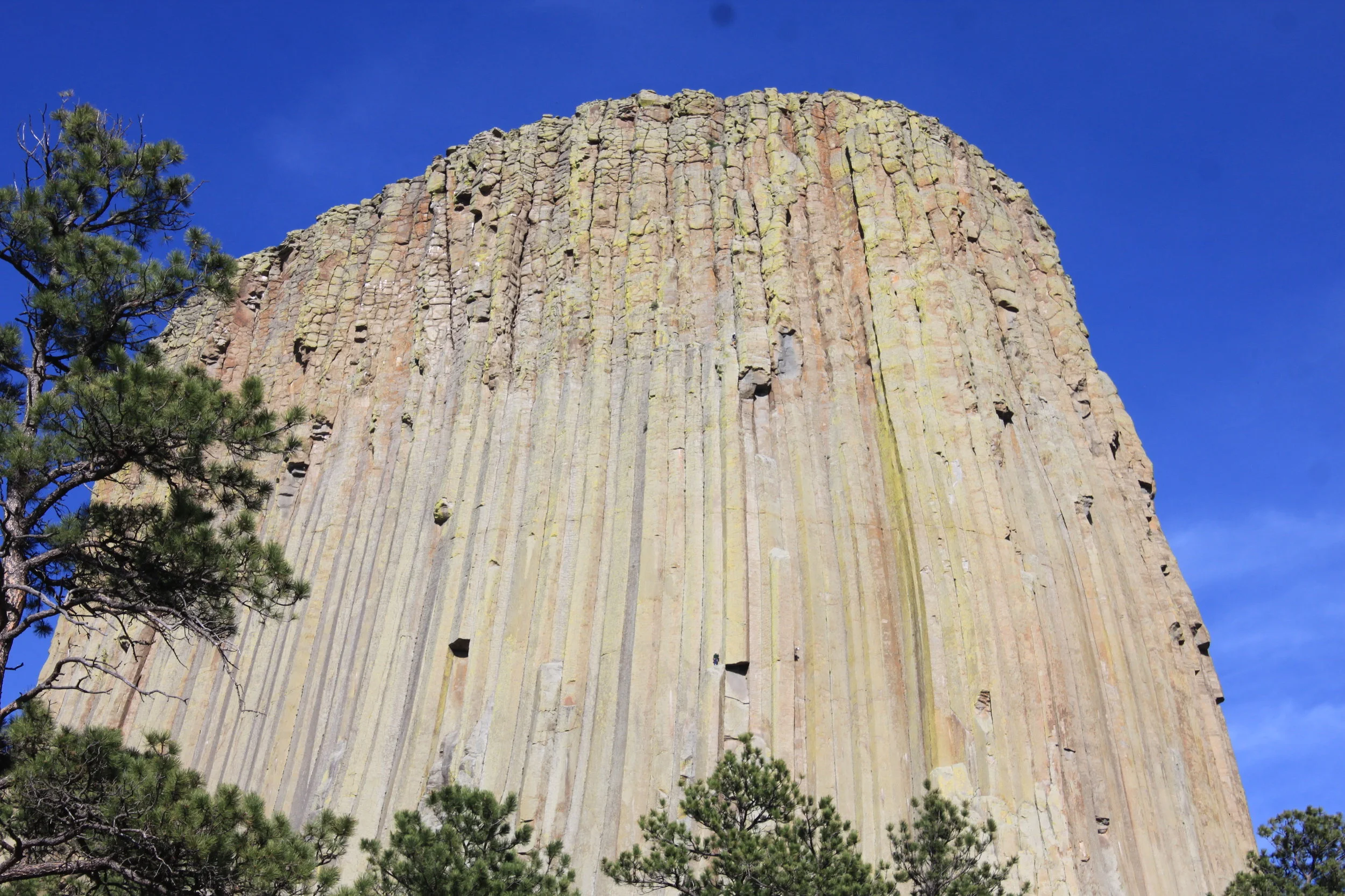 Meeks at Devil's Tower