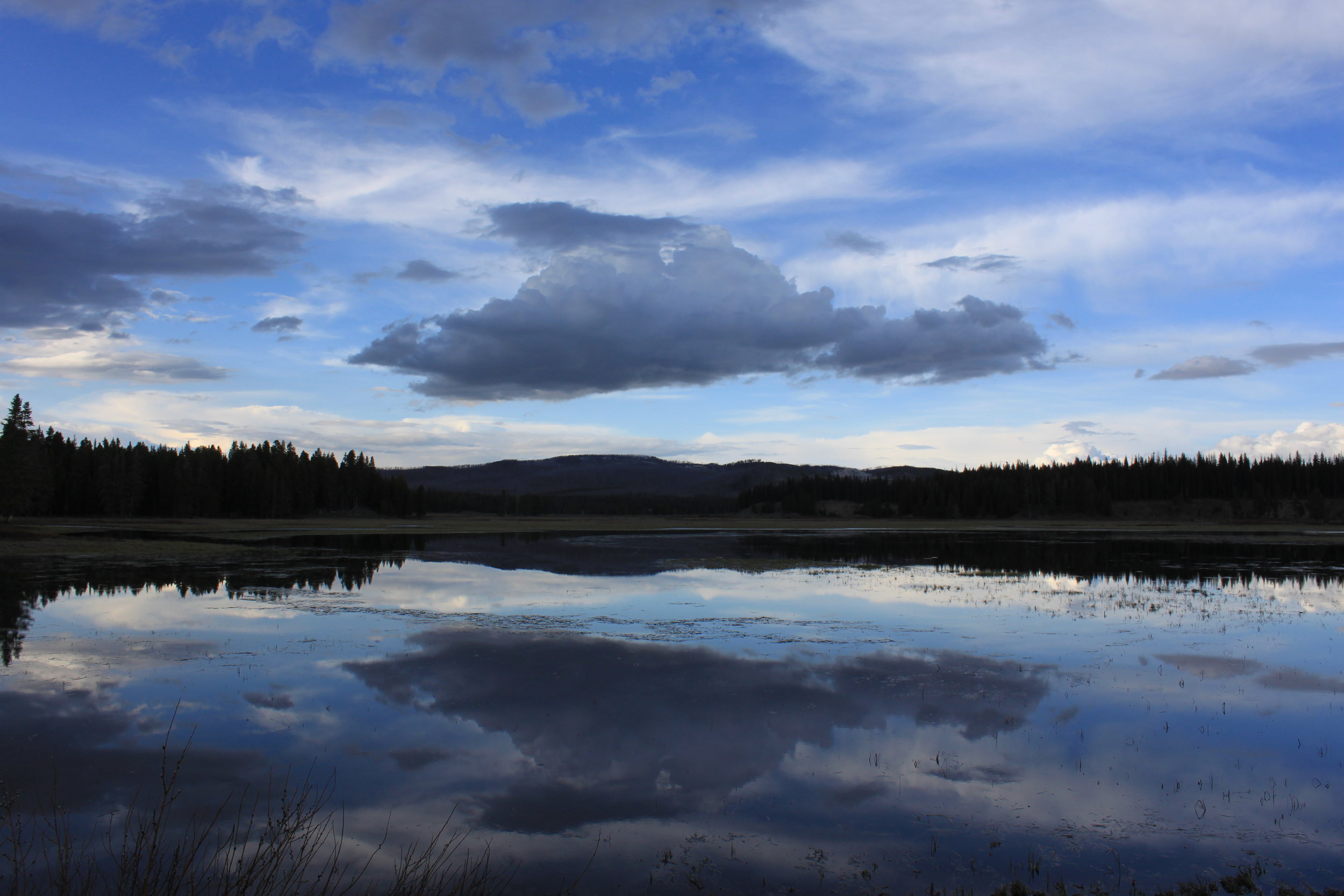 Meeks at Yellowstone