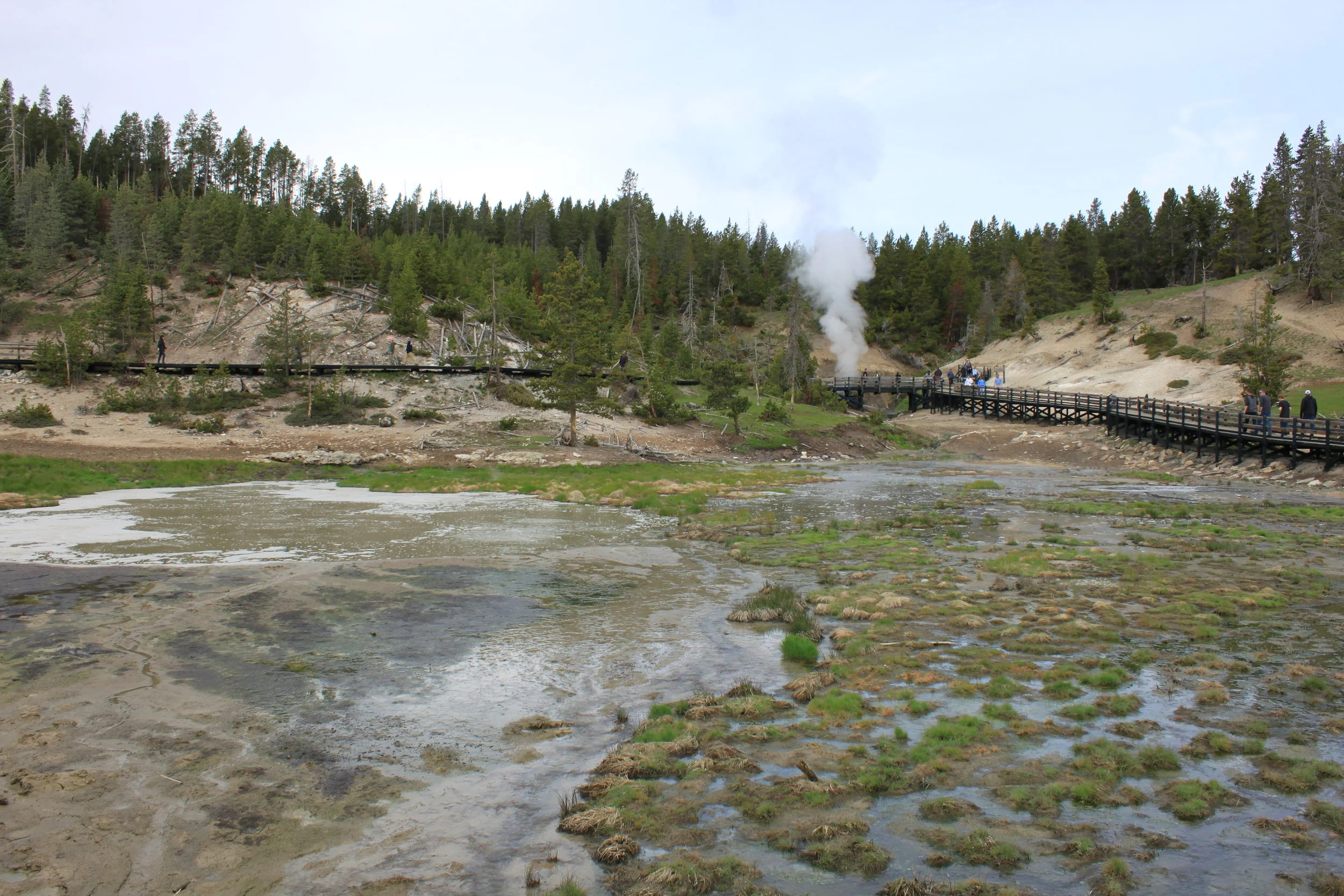 Meeks at Yellowstone