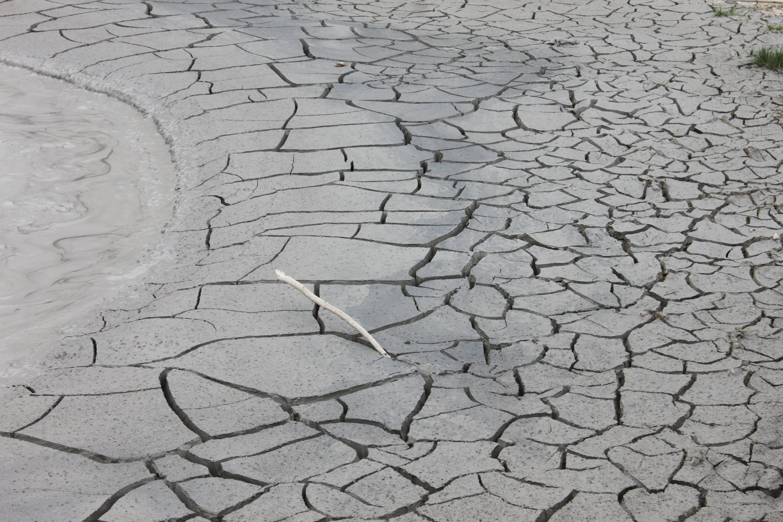 Meeks at Yellowstone