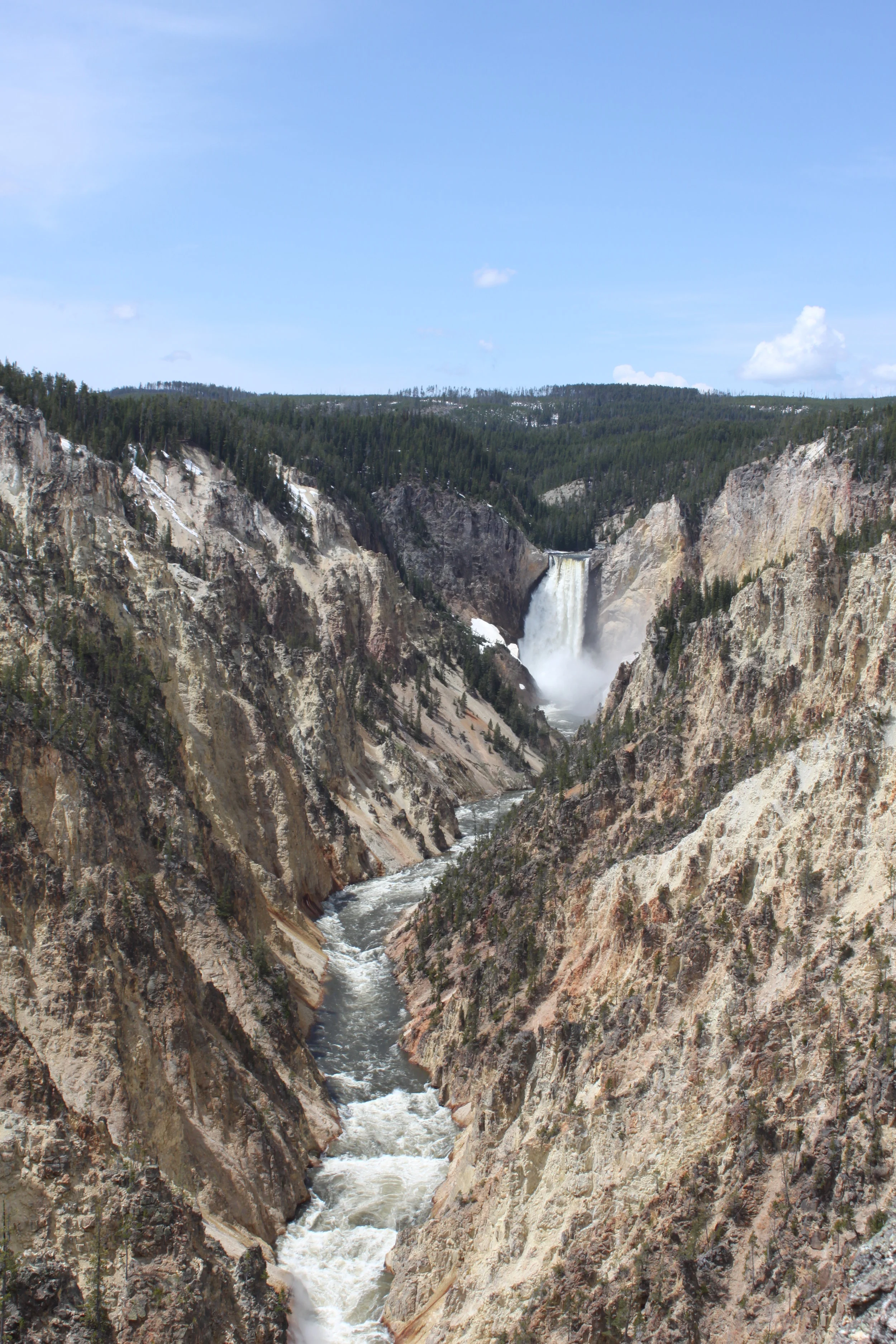 Meeks at Yellowstone