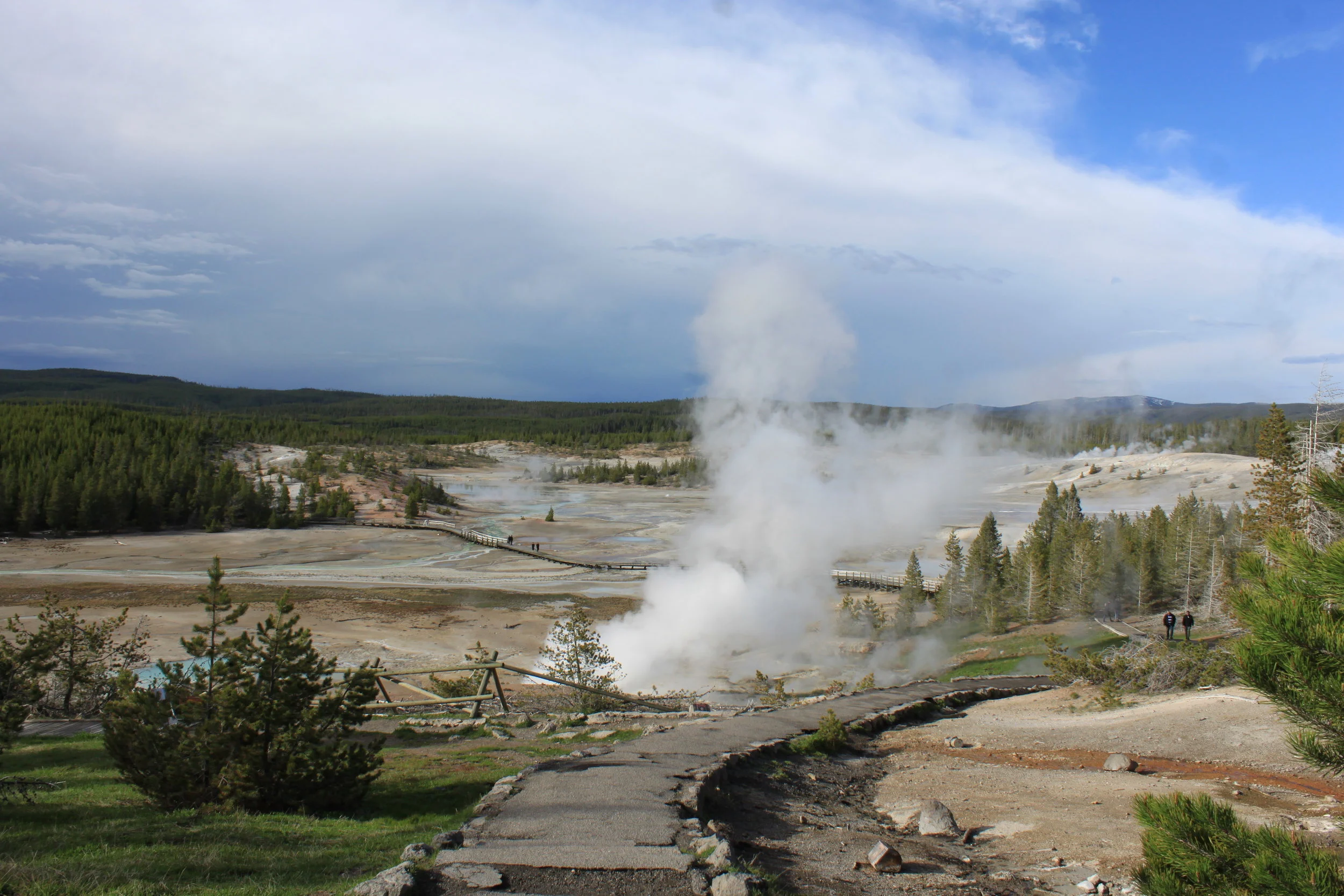 Meeks of Yellowstone