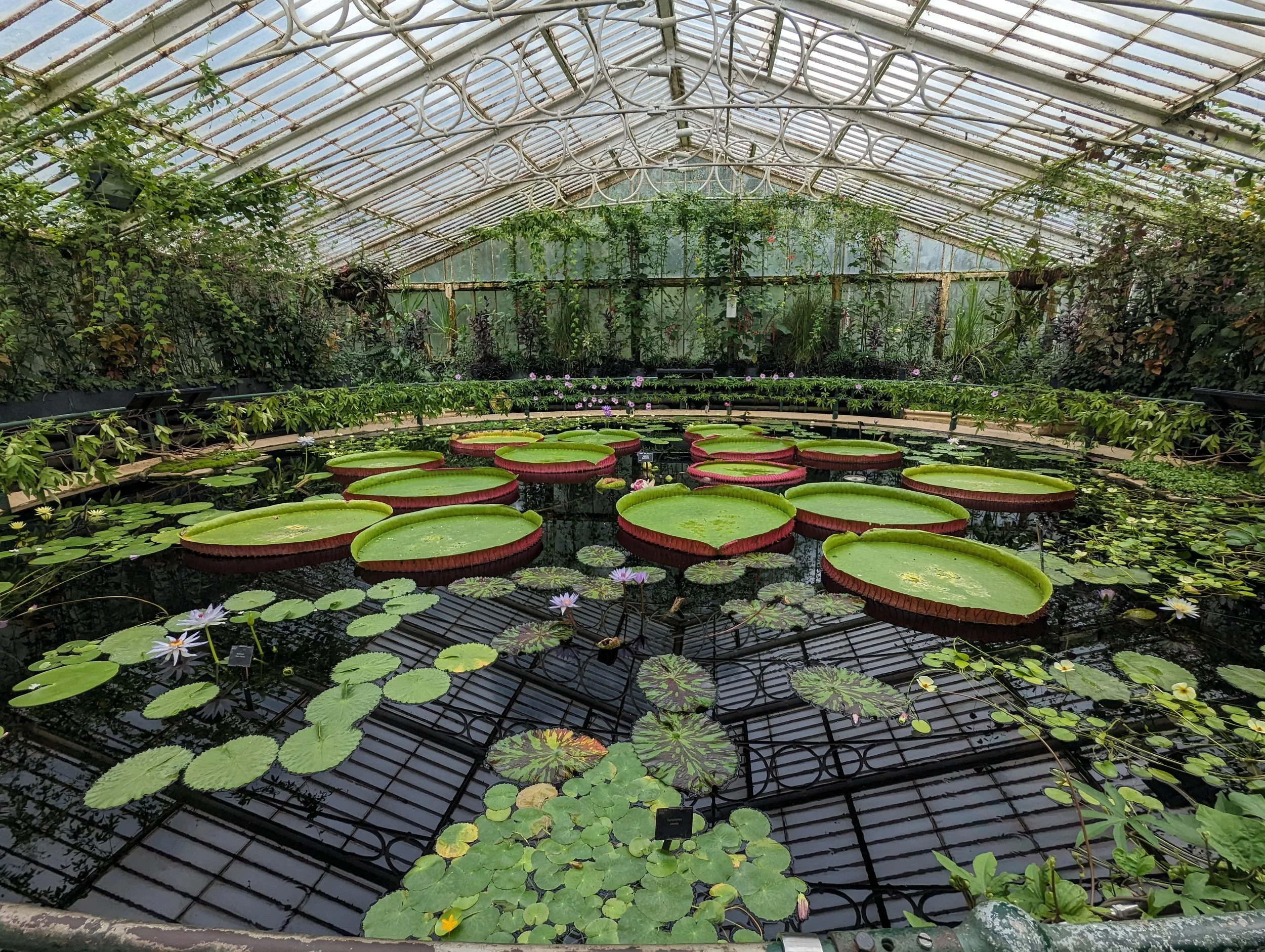 Kew Gardens, London 2023