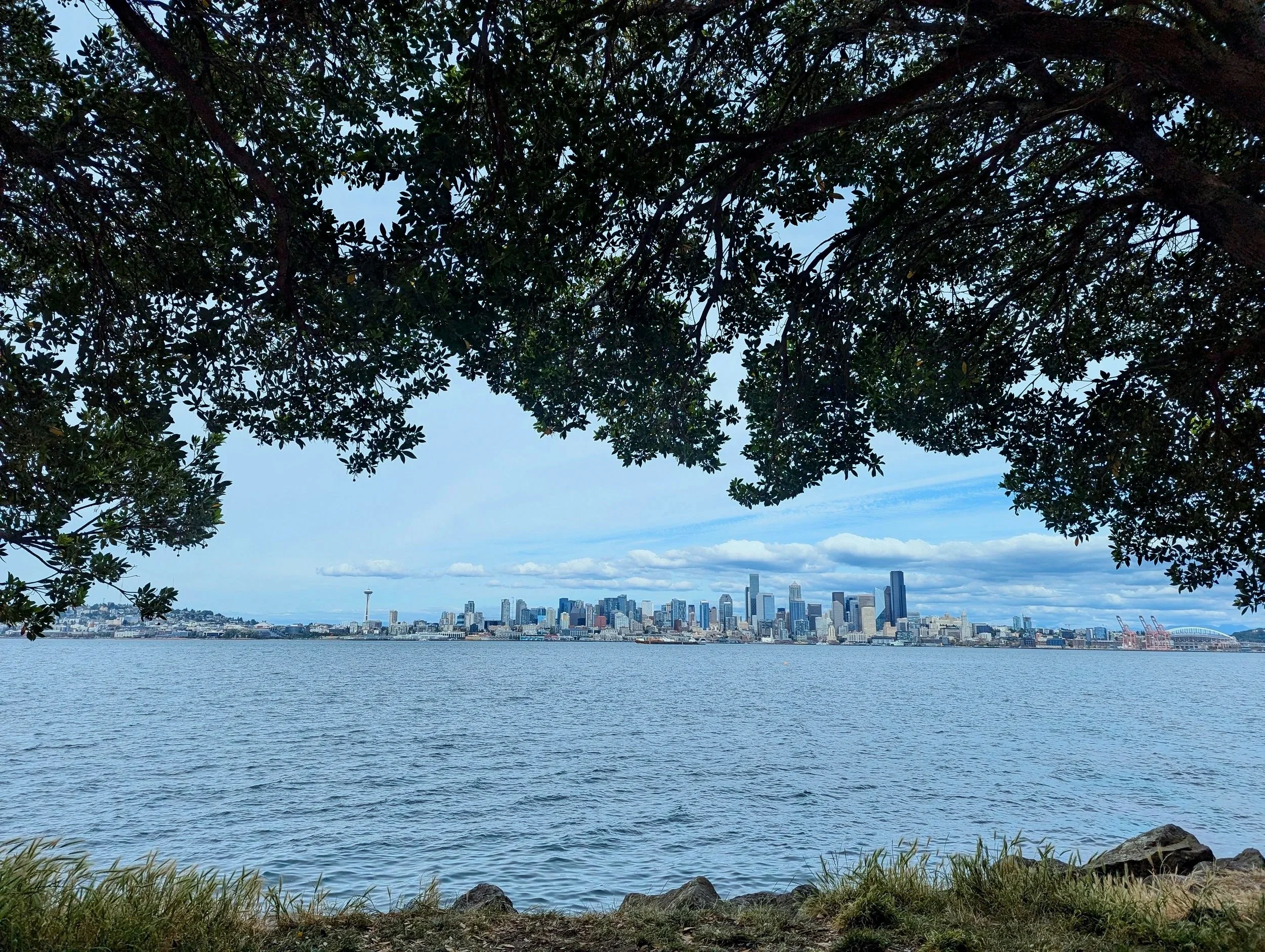 Seattle Skyline from Alki Beach, WA 2025