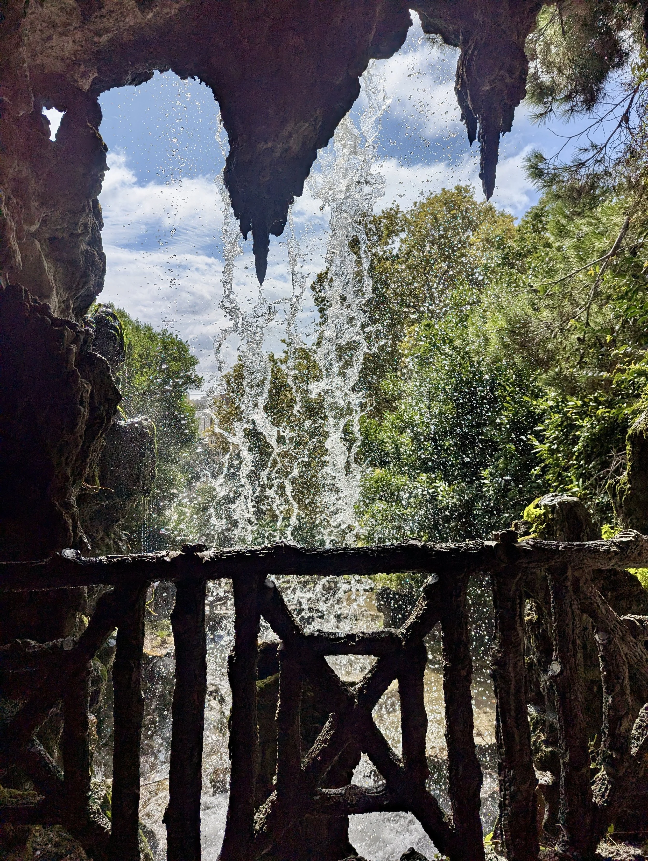 PXL_20250914_095550060.jpeg